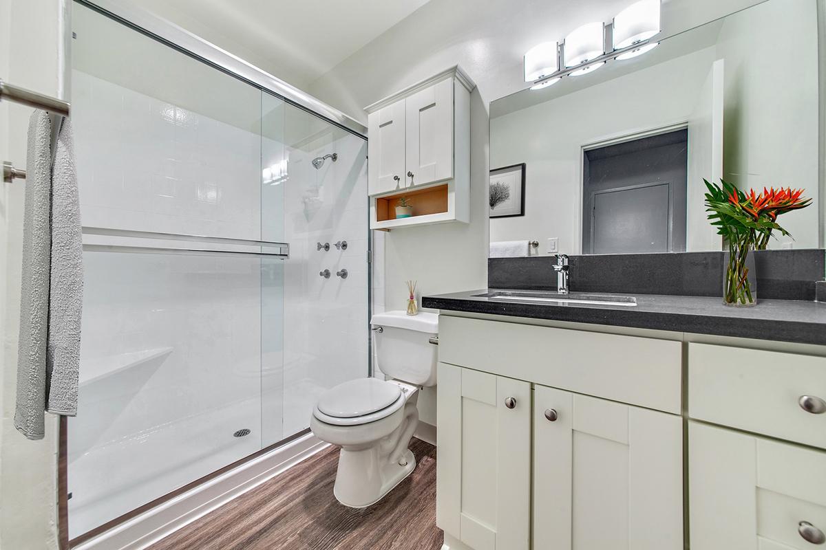 Modern bathroom featuring a glass shower enclosure, a white toilet, and a sleek black countertop with a sink. The cabinetry is white, and a small vase with vibrant flowers adds a splash of color. Bright lighting illuminates the space, enhancing the contemporary design.