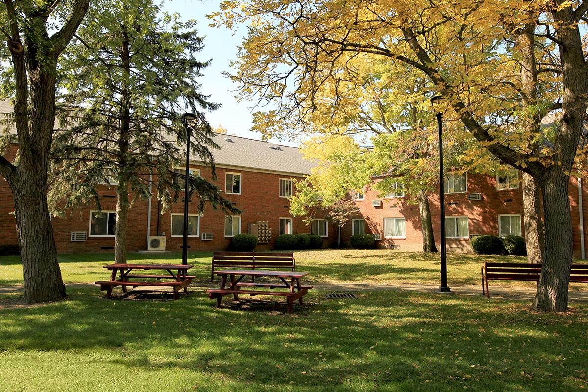 a group of lawn chairs sitting on a bench in a park