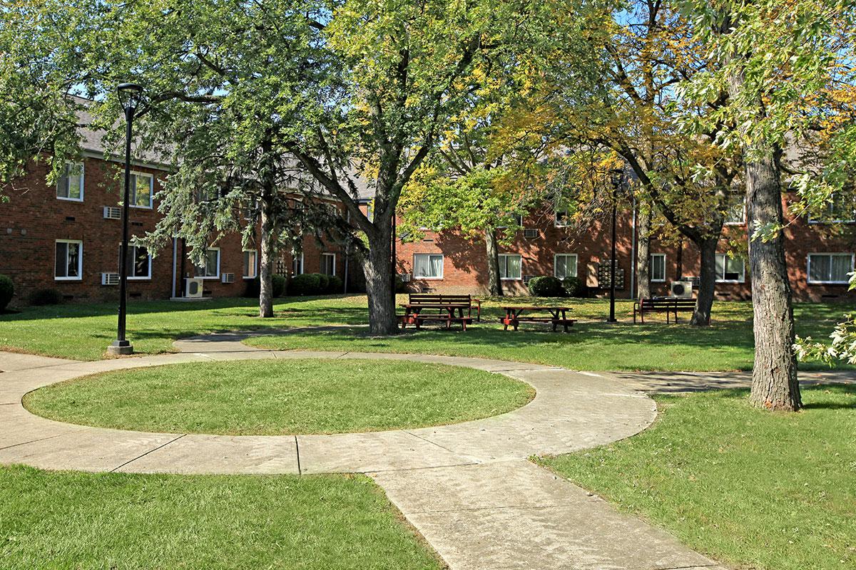 a tree in a park