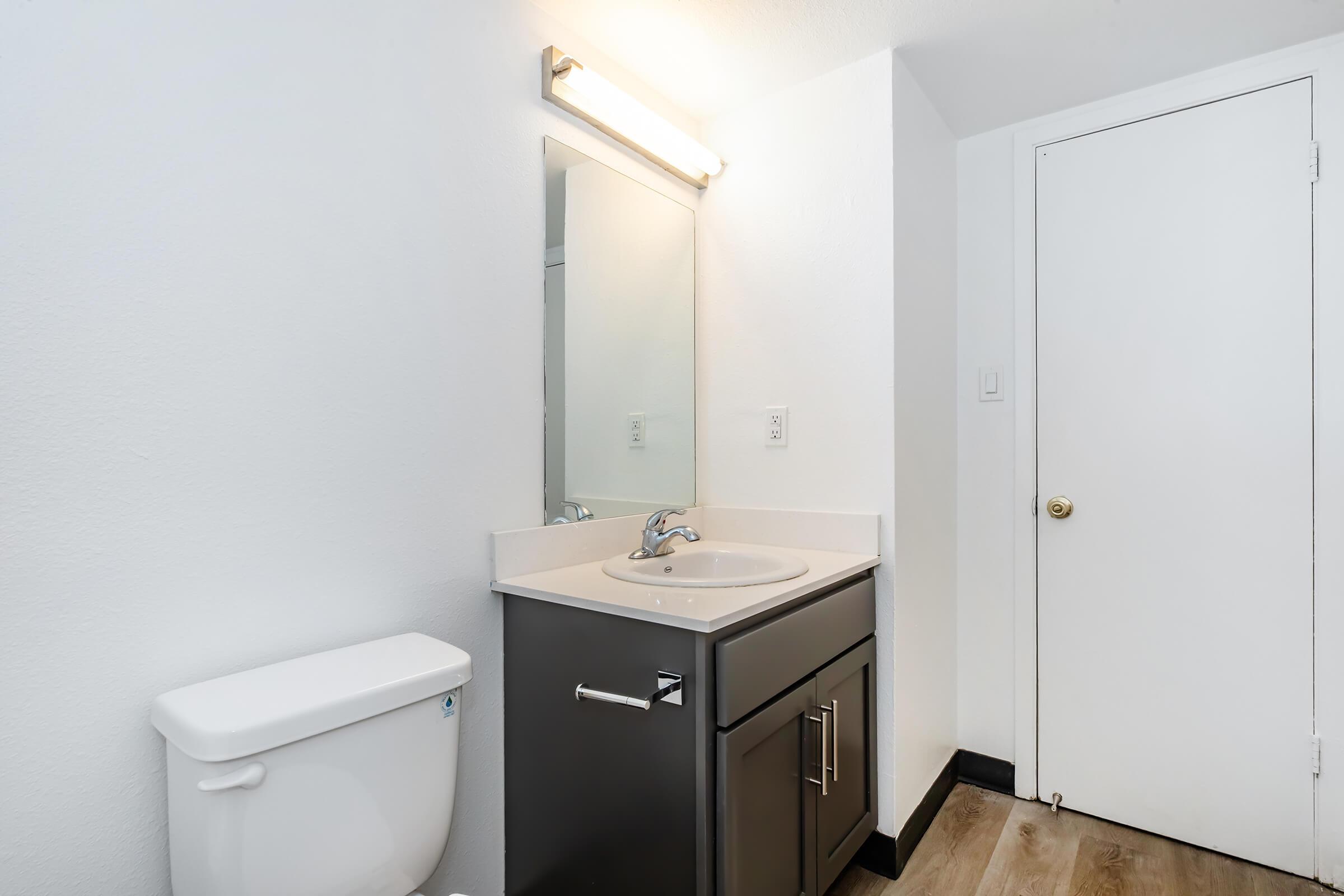 A modern bathroom featuring a white toilet, a large mirror above a gray vanity with a sink, and a light fixture above. The walls are painted white, and the flooring is a light wood. A closed door is visible on the right side.
