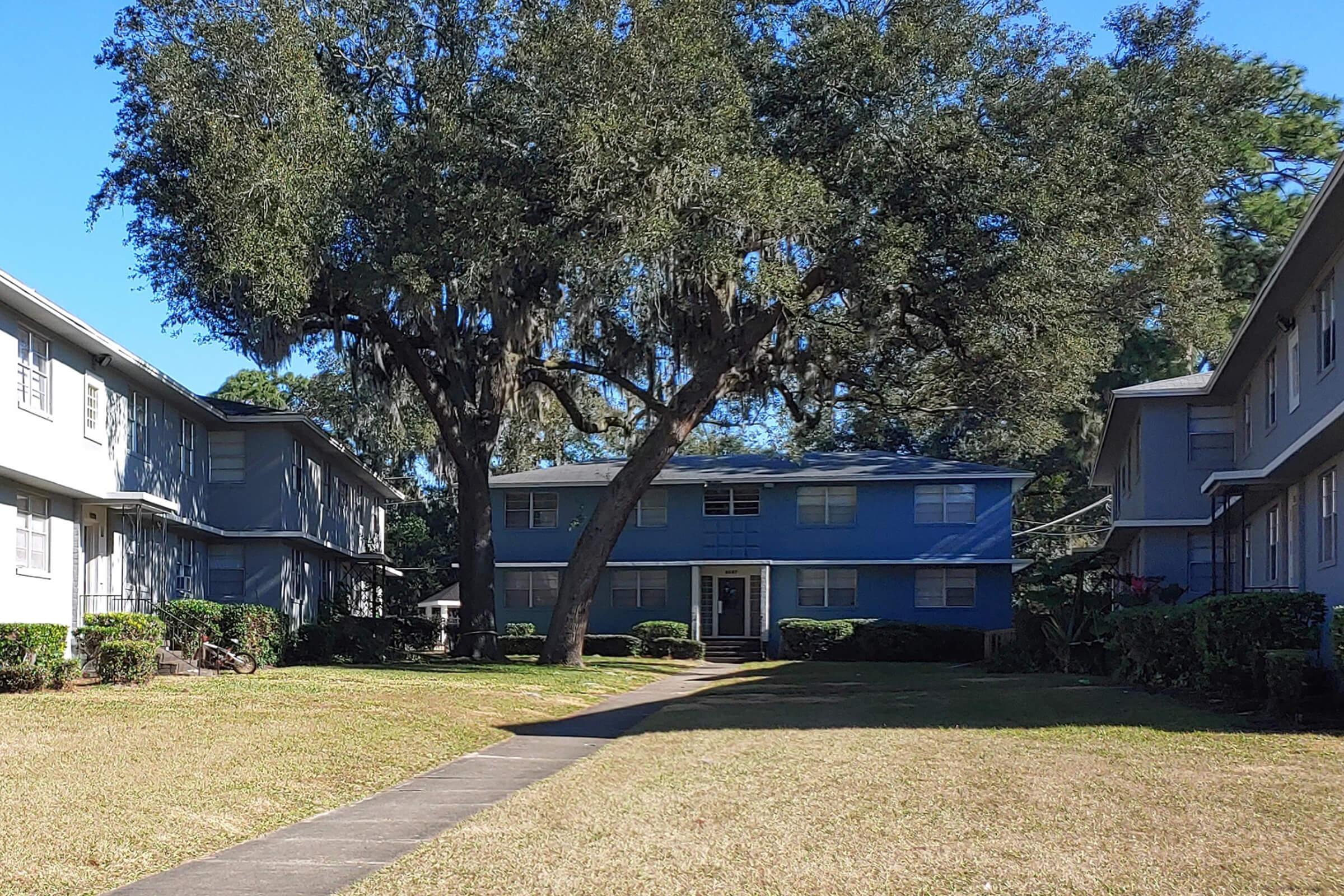 a tree in front of a house