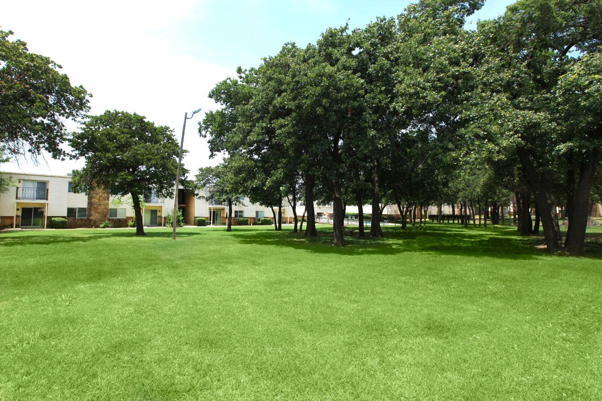 a large green field with trees in the background