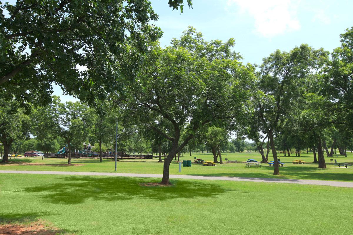 a tree in a park