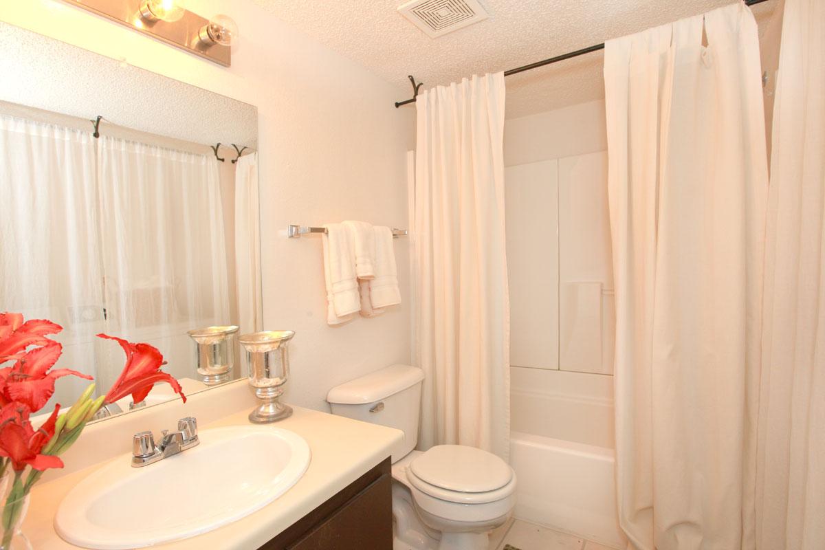 a shower curtain next to a sink