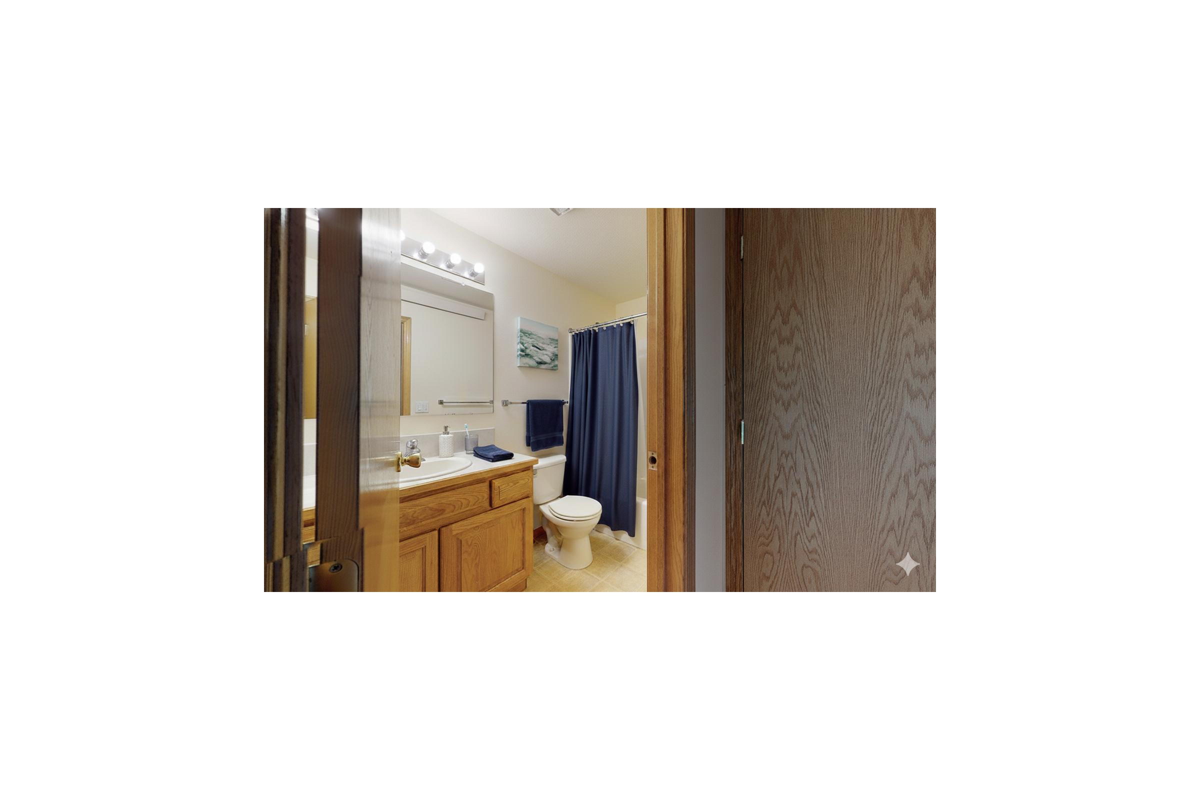 View of a bathroom from an open doorway, featuring a wooden cabinet, a white toilet, and a blue shower curtain. The room is well-lit, with a mirror above the sink and a framed picture on the wall, creating a clean and inviting atmosphere.