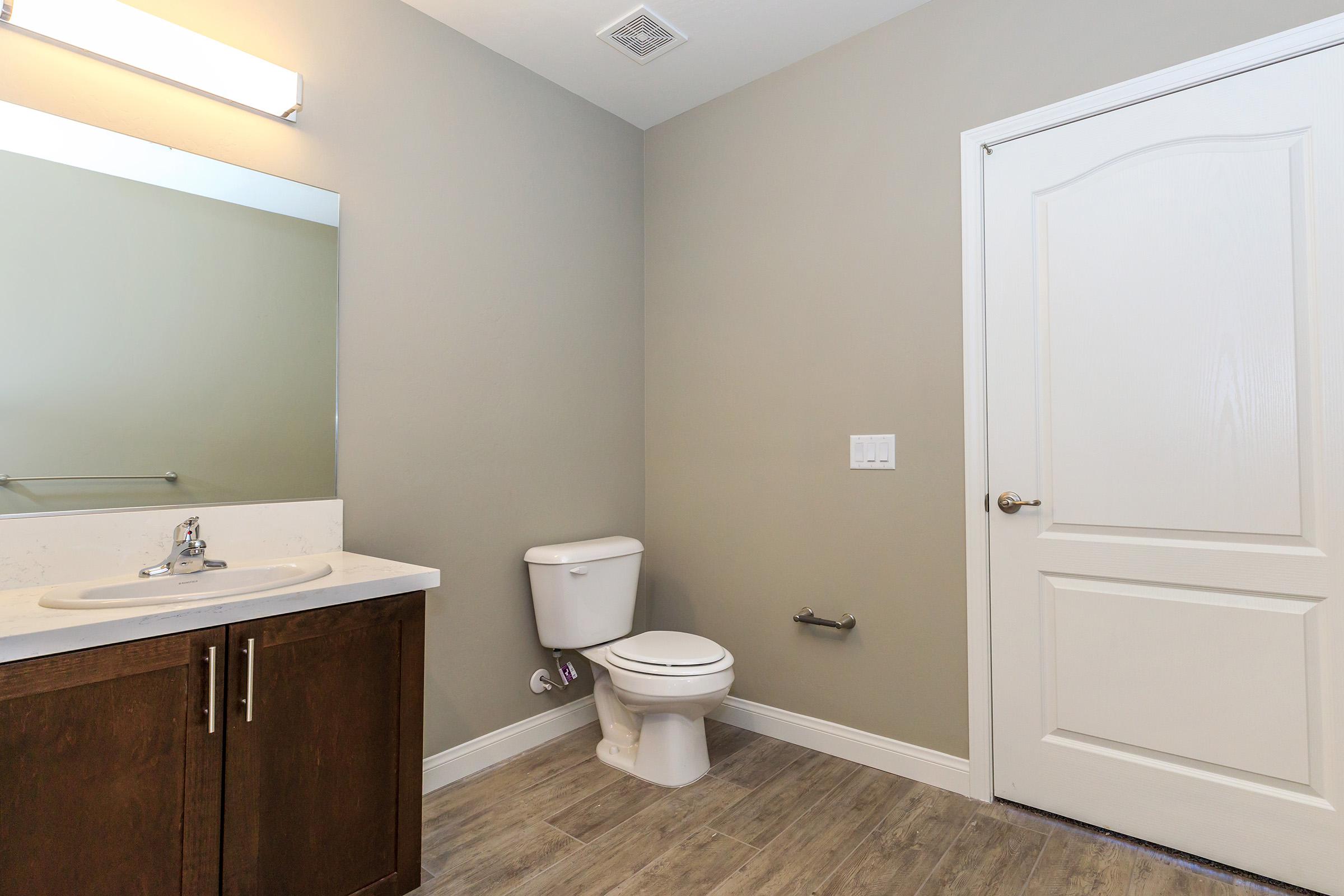 Bathroom with wooden cabinets