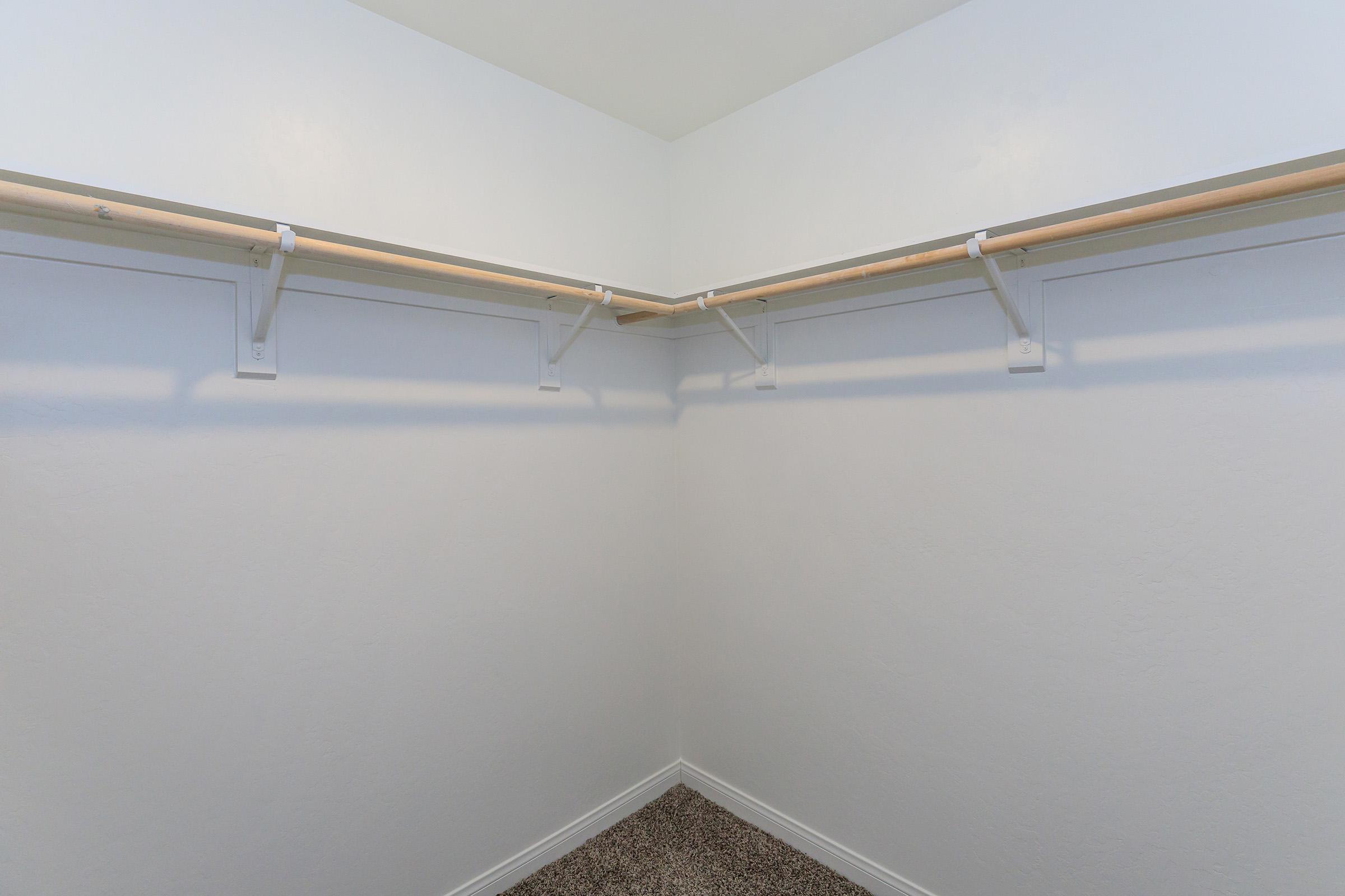 Walk-in closet with carpet