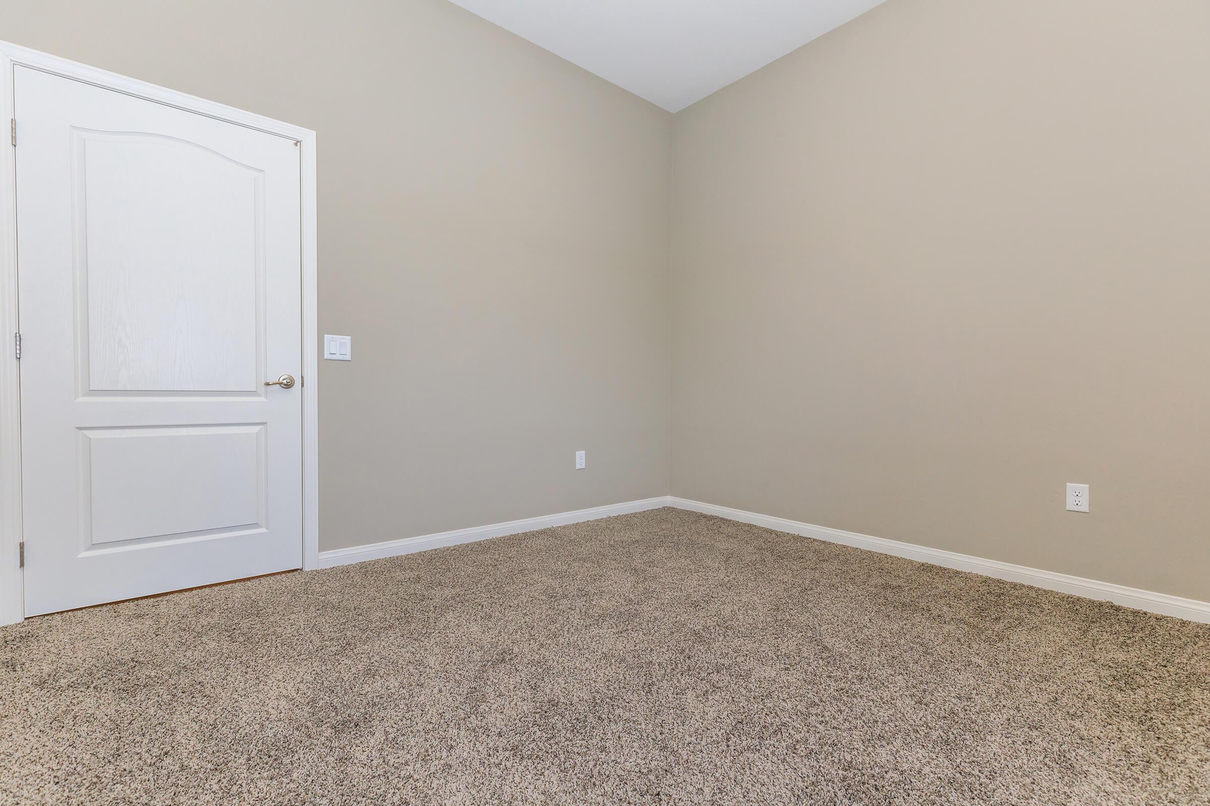 Vacant carpeted bedroom