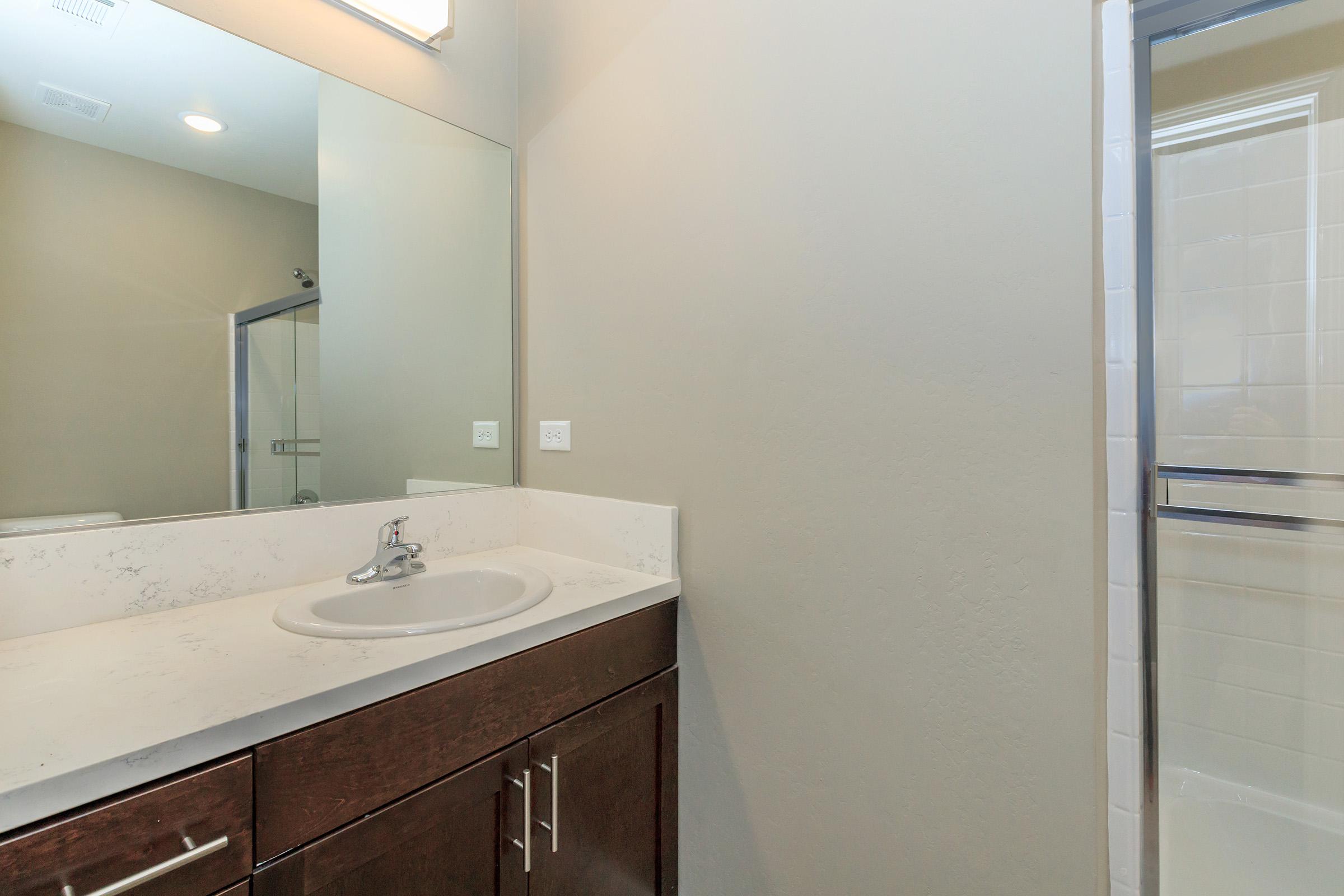 Bathroom sink with wooden cabinets