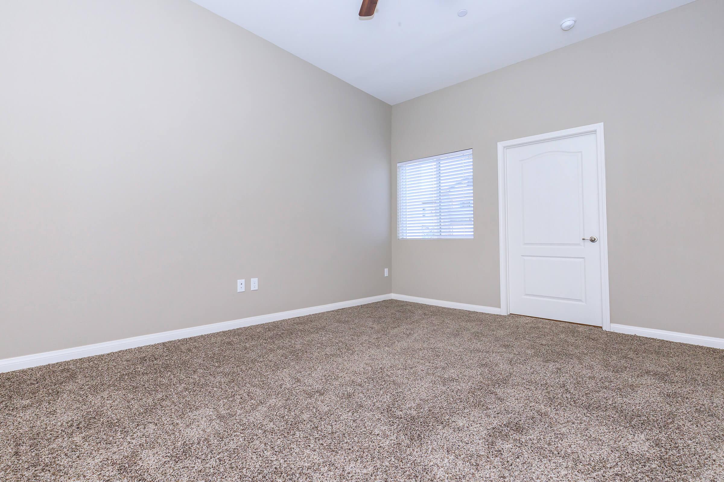 Carpeted room with a closed door