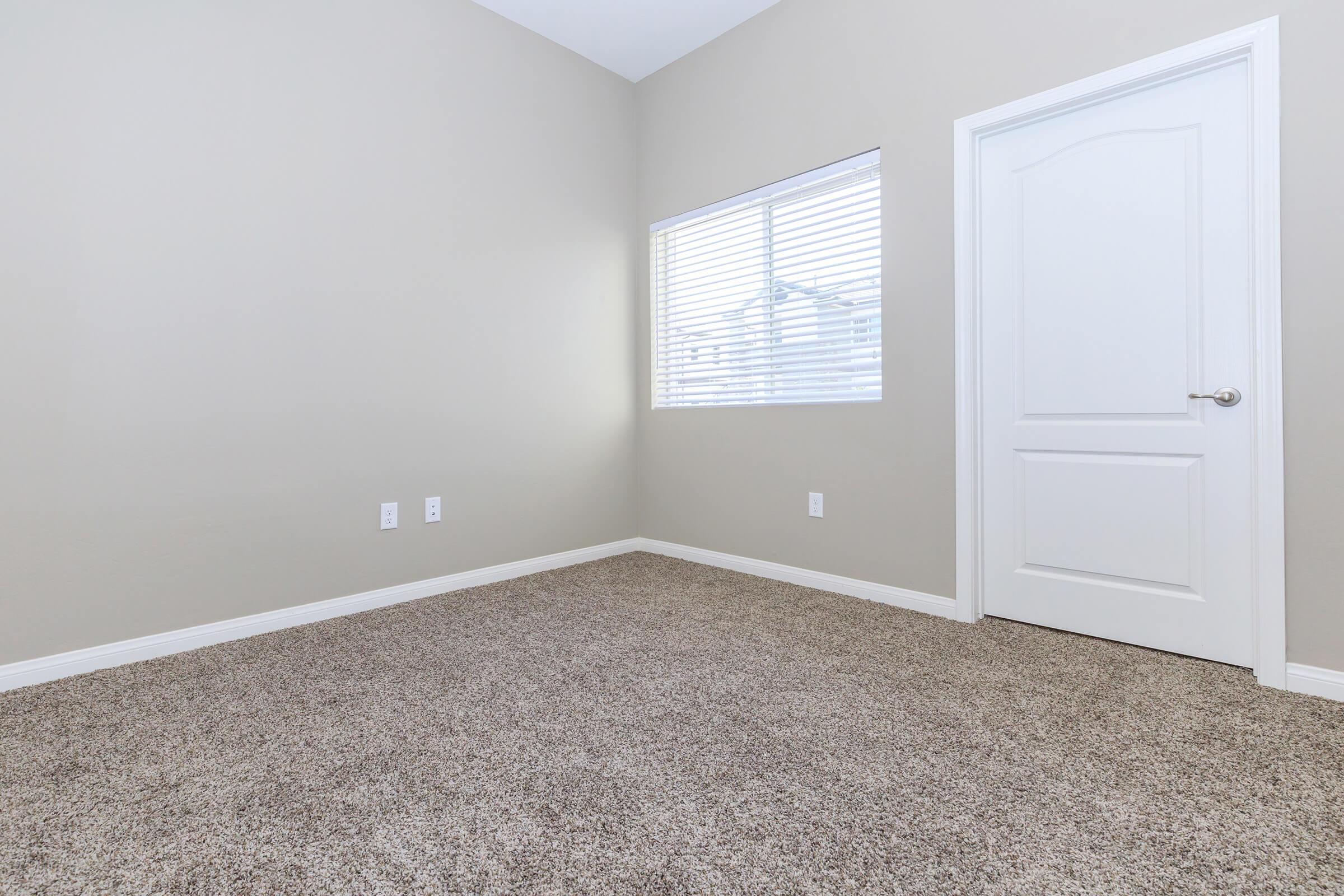 Carpeted room with a closet door