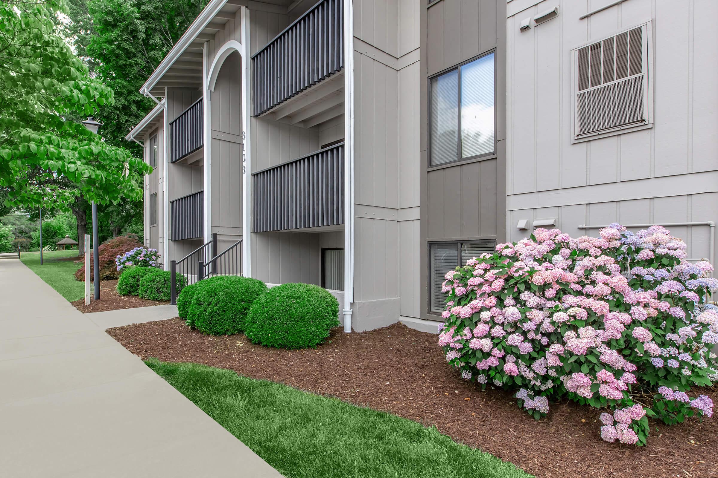 a close up of a flower garden in front of a building