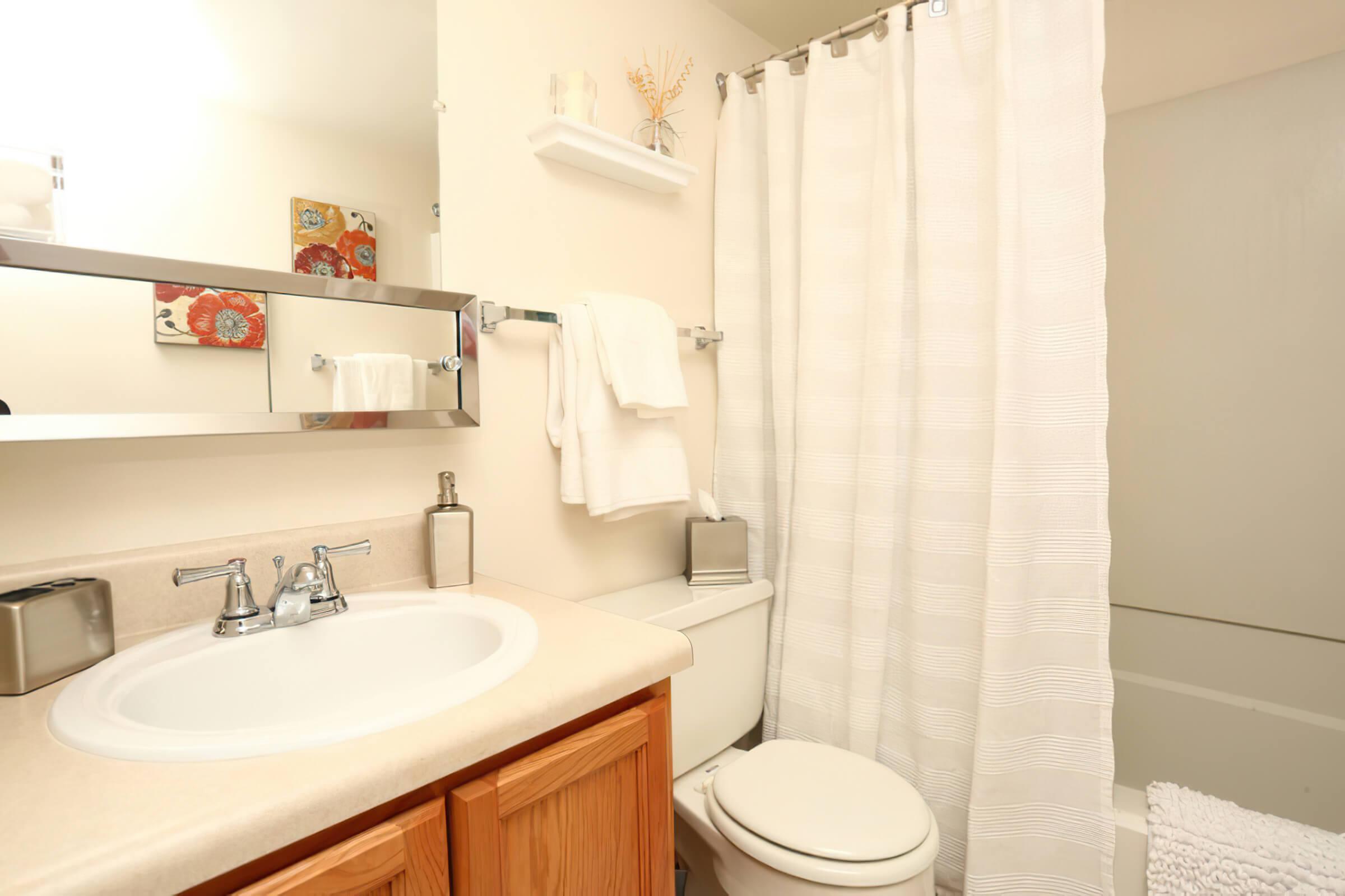 a sink and a mirror