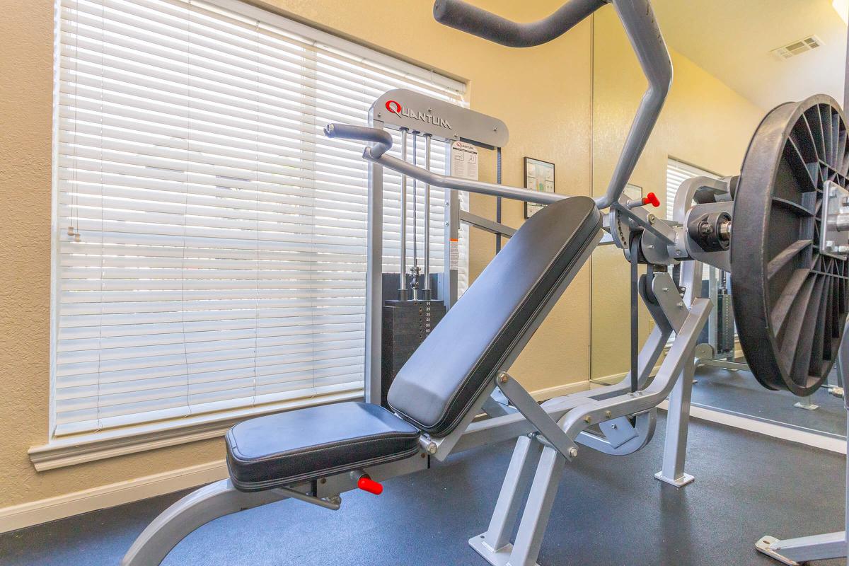 Fully equipped fitness center with exercise machines 