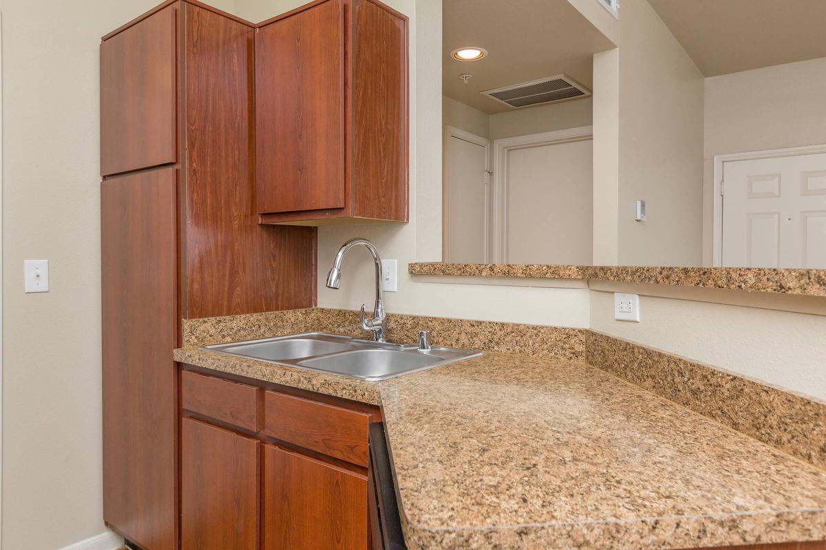 Stainless steel sink, pantry, and counter-space in galley-style kitchen