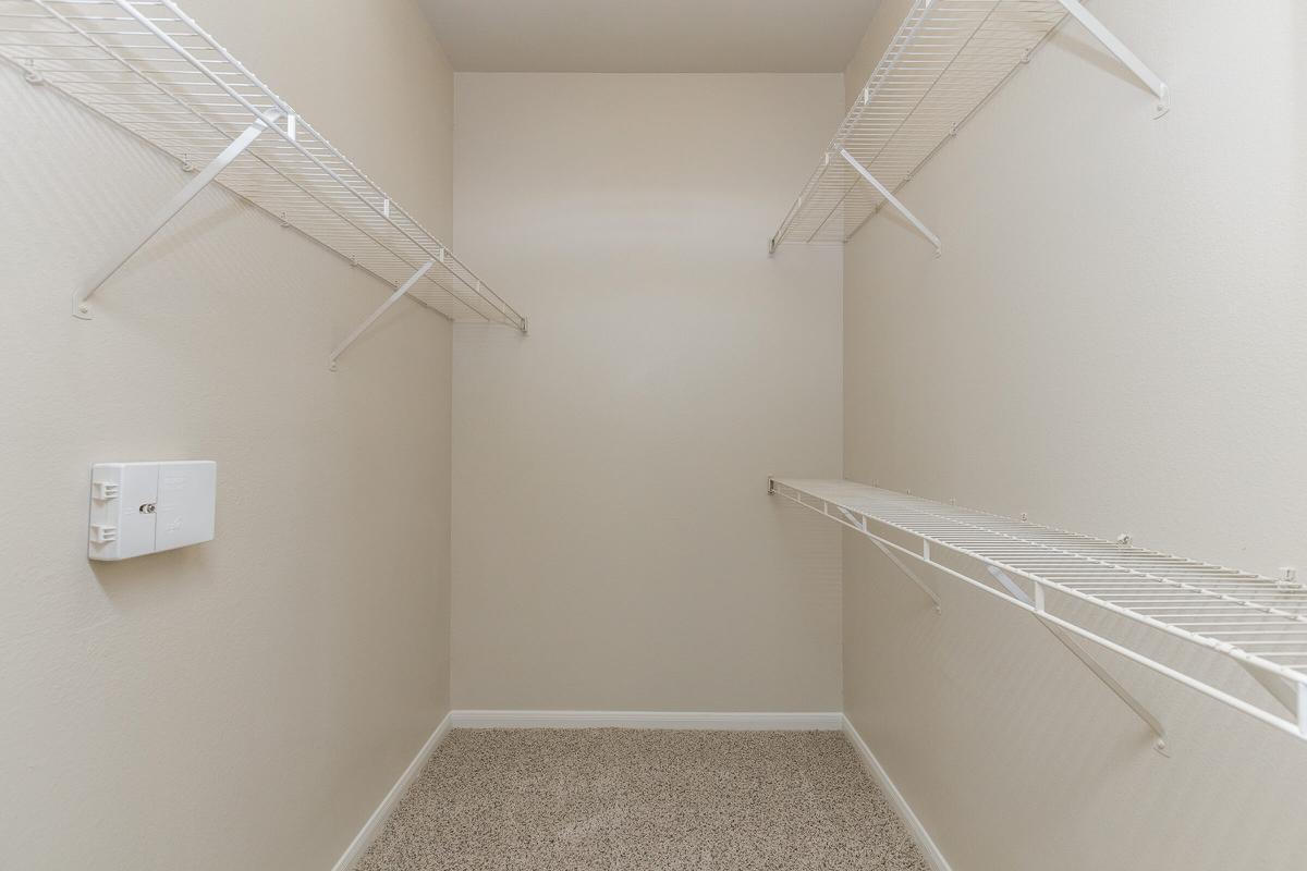 Walk-in closet with shelves and extra storage space at The Avenue 