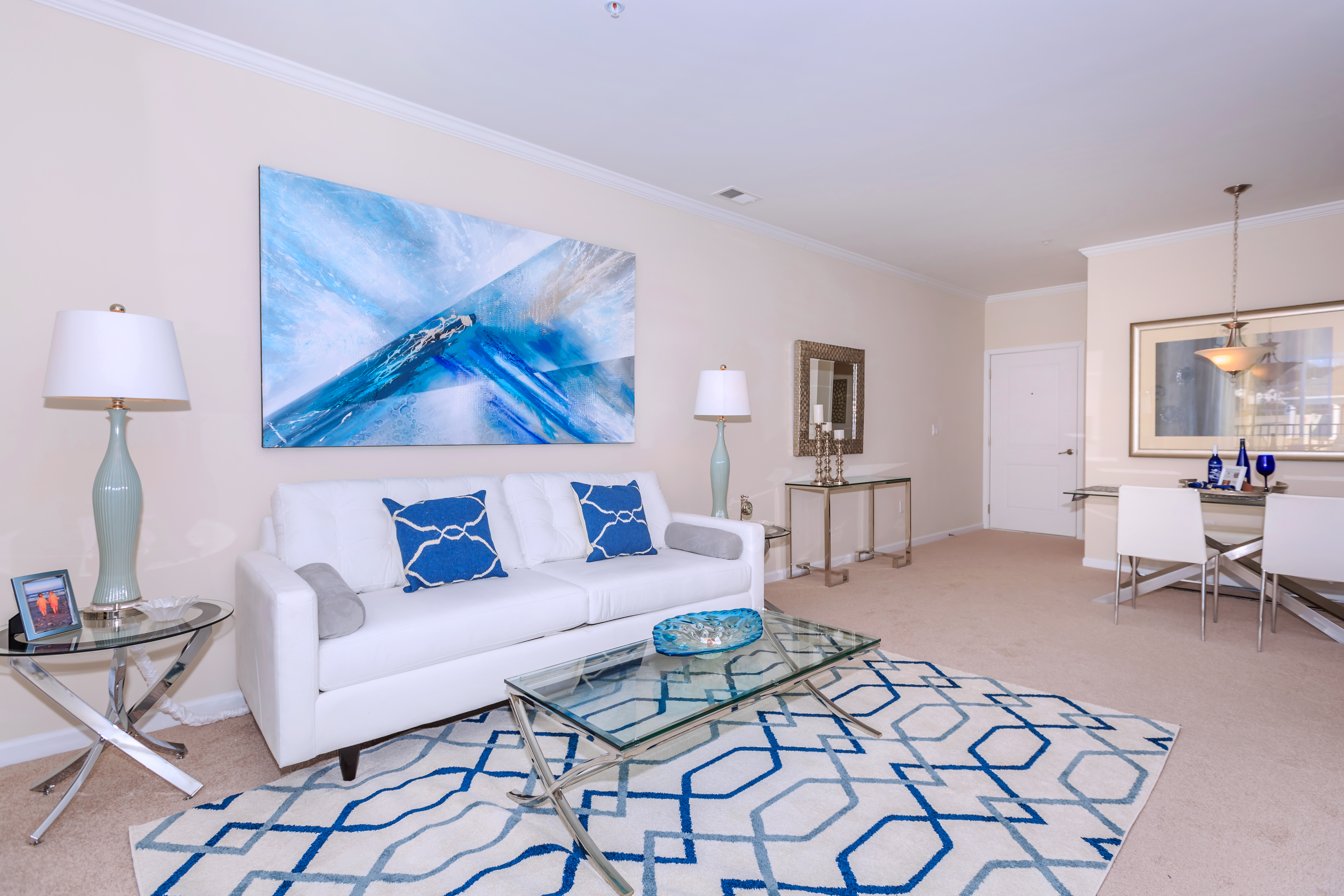 Apartment Features