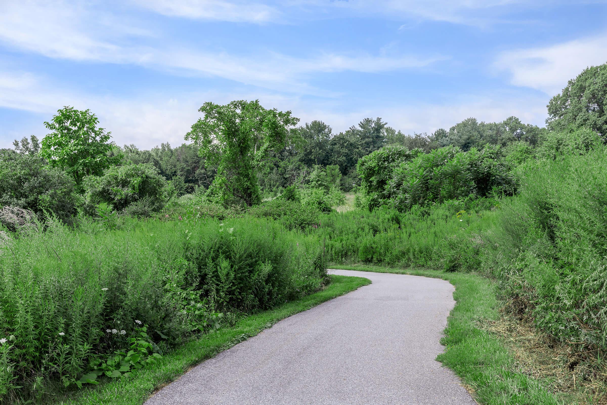 a path with grass and trees