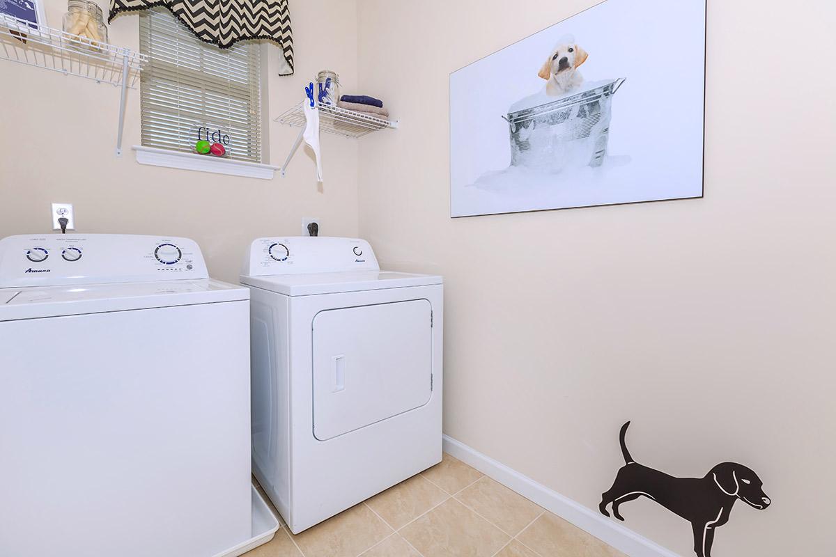 a cat sitting on top of a refrigerator