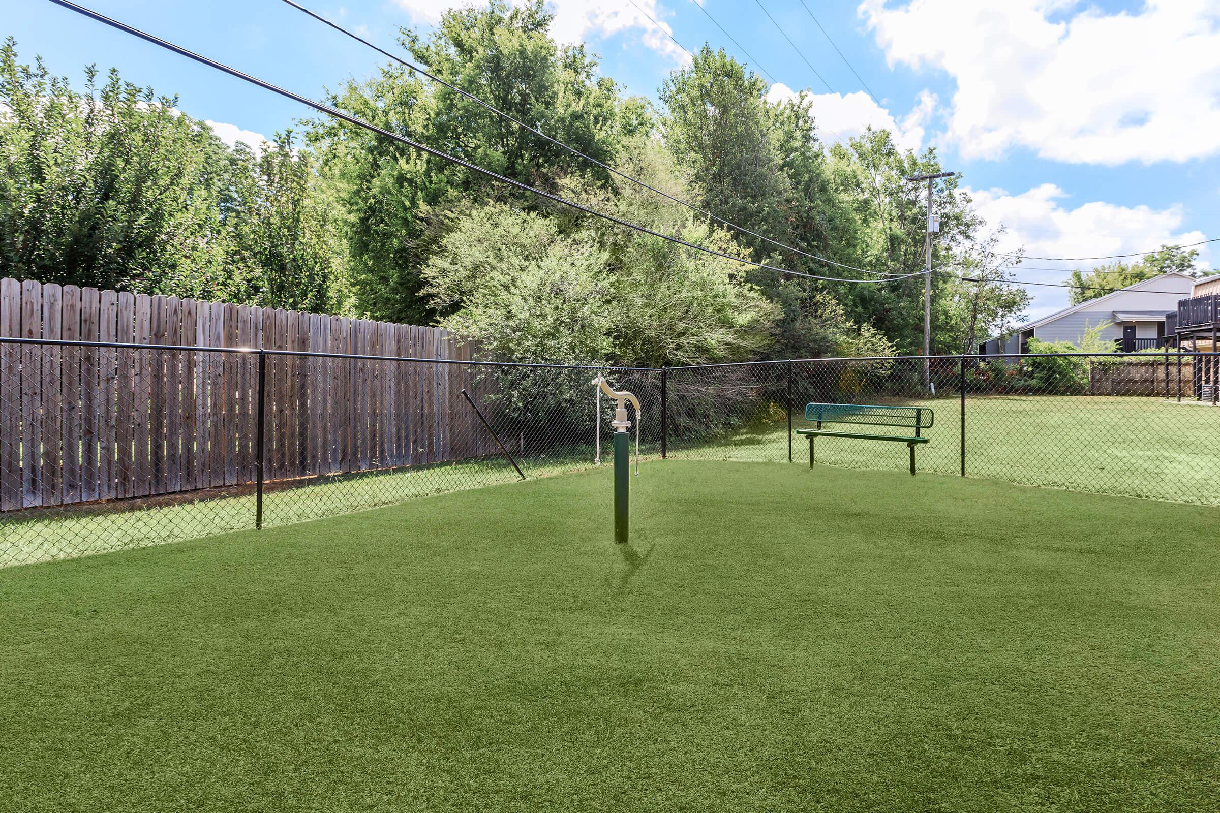 a close up of a lush green field next to a fence