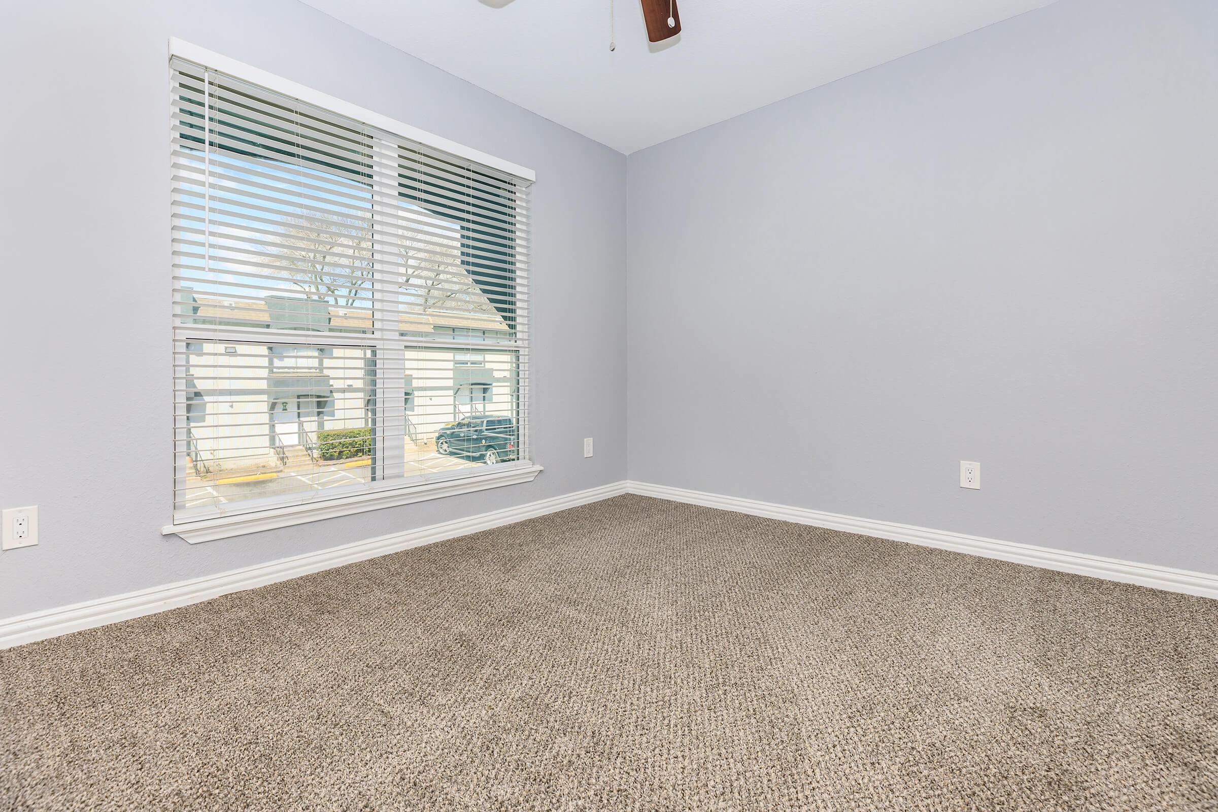 PLUSH CARPETING