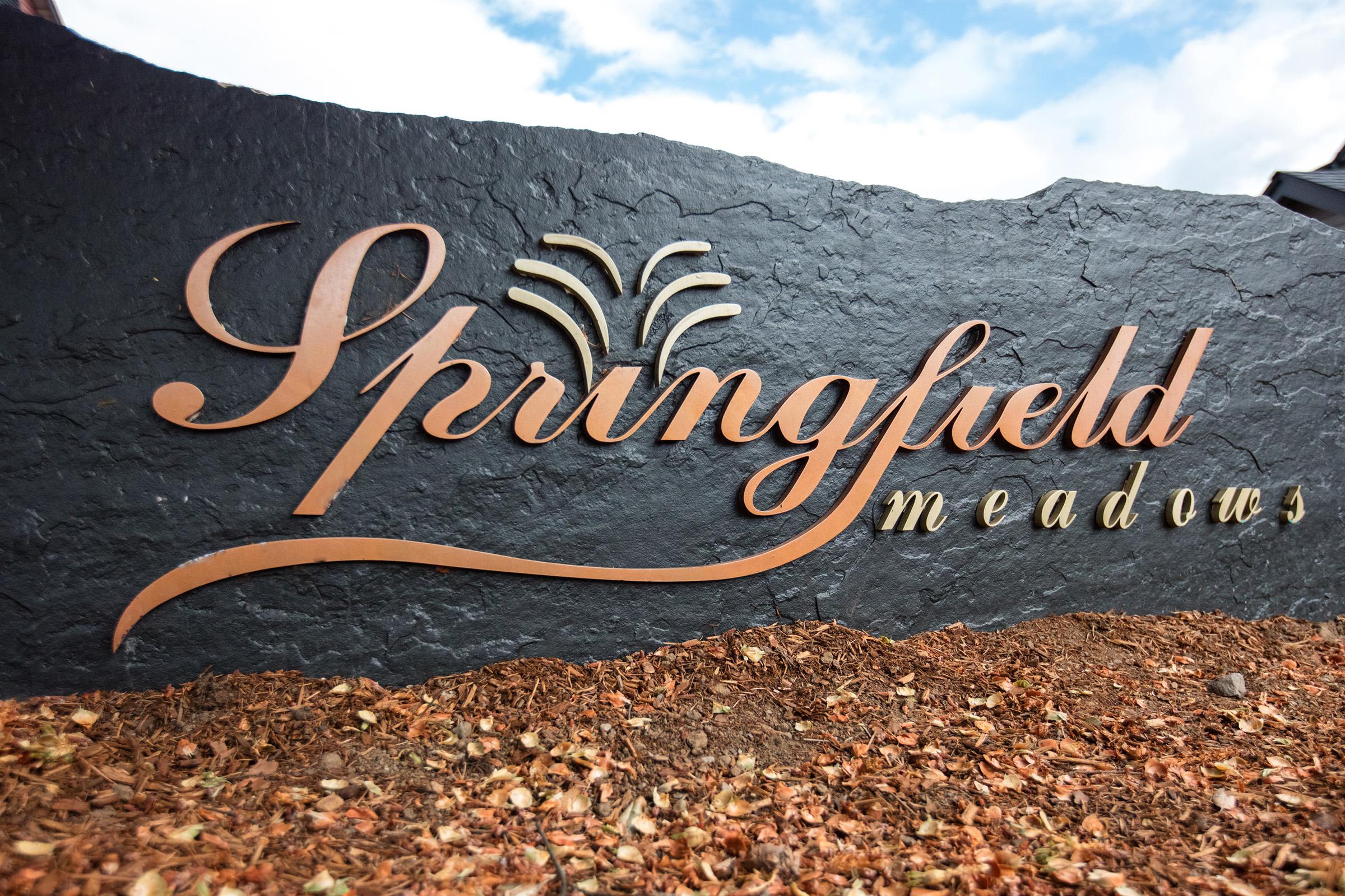 A sign displaying the text "Springfield Meadows" in elegant, stylized lettering, with a decorative design above the name. The sign is set against a textured black background and surrounded by autumn leaves, under a partly cloudy sky.
