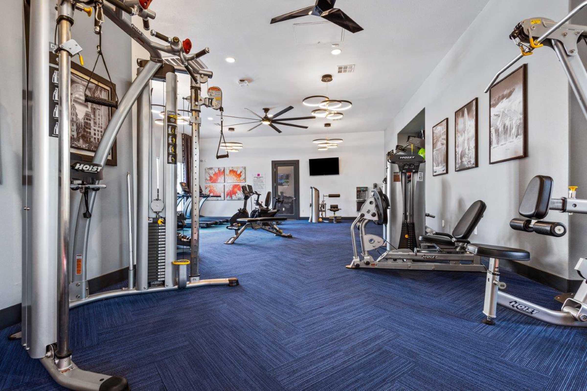 A modern gym interior featuring various exercise equipment, including weight machines and benches. The space has a blue carpet and gray walls, with ceiling fans and artwork on display. Natural light enters through windows, creating an inviting workout environment.