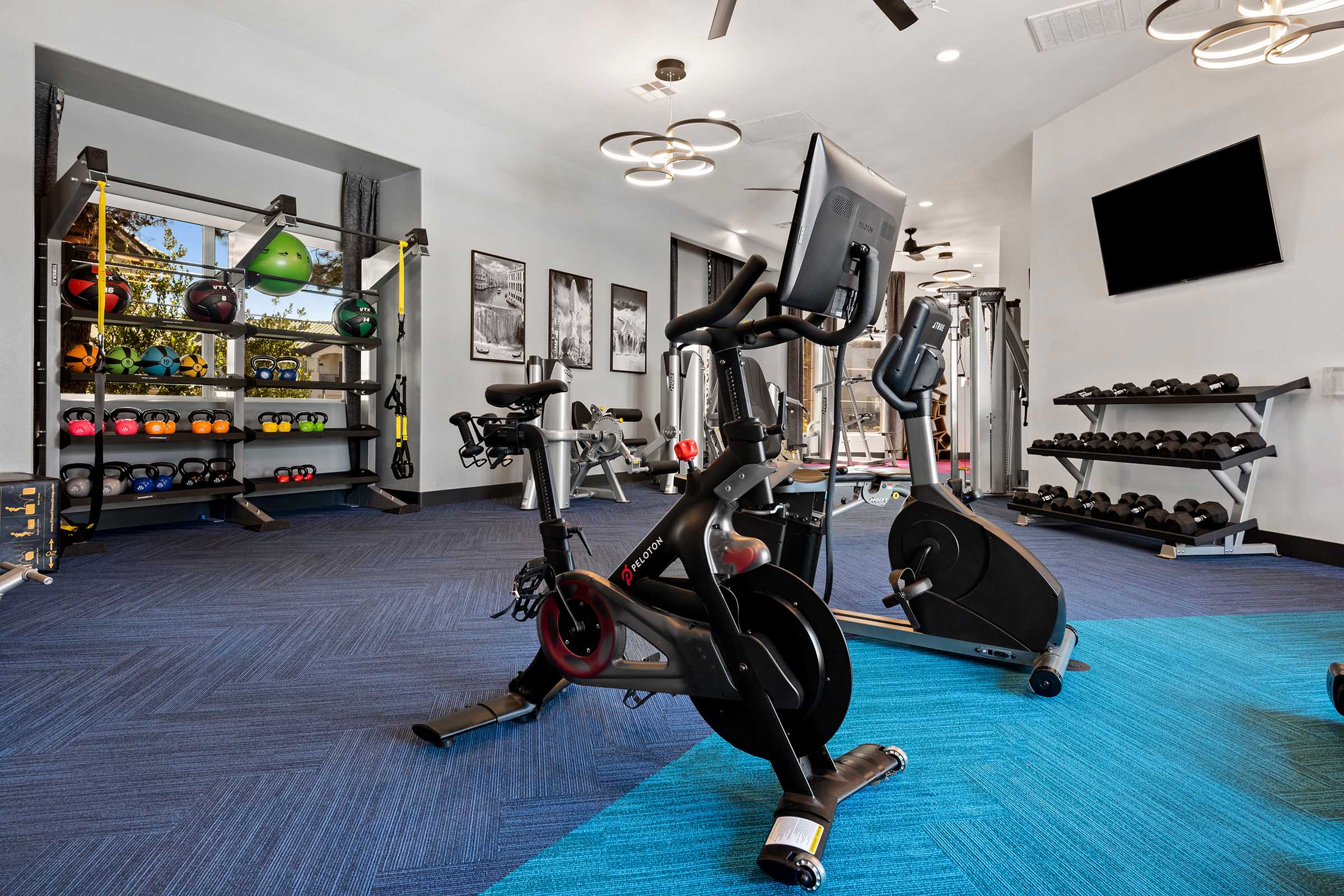 Modern gym interior featuring exercise equipment, including stationary bikes and strength training machines. Colorful dumbbells and kettlebells are neatly arranged on storage racks. The room has a blue carpet, ceiling fans, and inspirational wall art. A large TV is mounted on the wall for workout guidance.