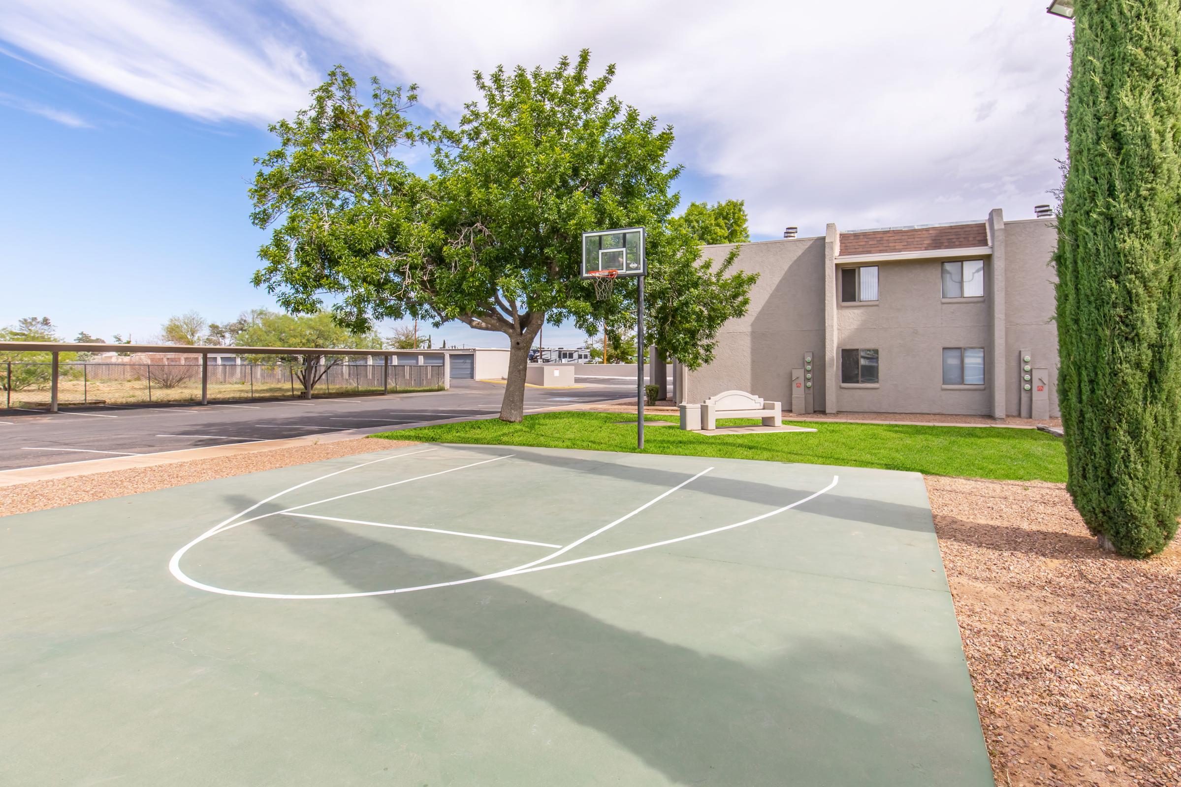 A green basketball court with a single hoop in a residential area. In the background, there are grassy areas, trees, and a grey building. The sky is partly cloudy, and there is an asphalt road nearby.