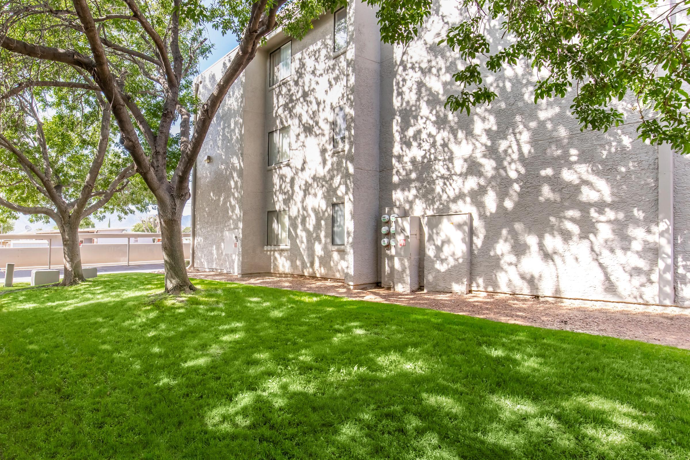 A view of a modern building with a textured gray wall surrounded by lush green grass and trees, casting dappled shadows on the ground. The exterior features windows and utility meters, indicating a residential or commercial space. The scene is bright and inviting, showcasing a well-maintained landscape.