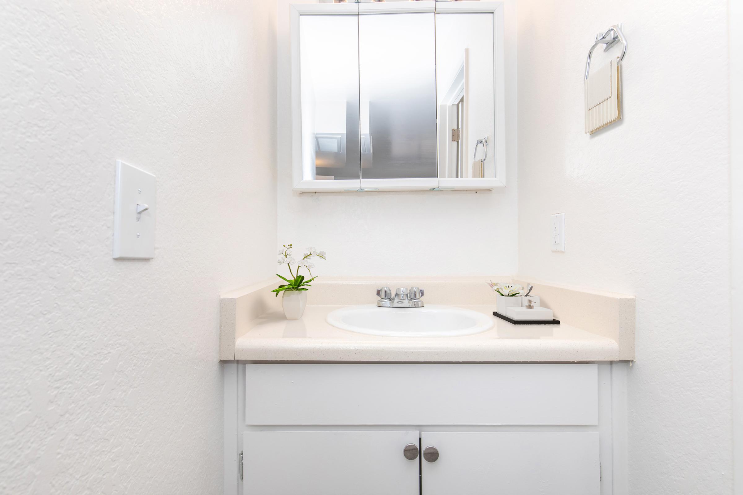 A clean bathroom with a white vanity and sink. Above the sink is a mirrored cabinet, and a small potted plant sits on the counter. A towel rack is visible on the wall, and the walls are painted a light color, creating a bright and airy atmosphere.