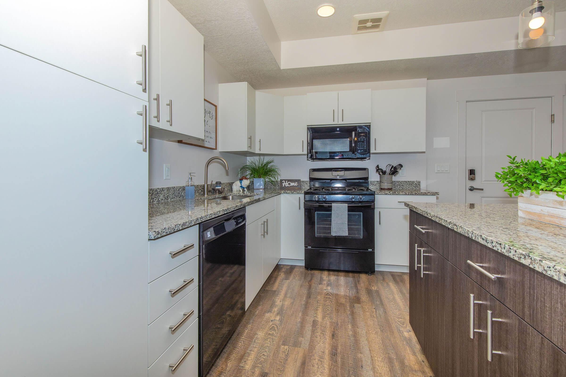 Modern kitchen with white cabinetry and dark wood accents. Features a granite countertop, stainless steel and black appliances, including a microwave and dishwasher. Bright lighting fixtures illuminate the space, which is organized and stylishly designed. A small potted plant adds a touch of greenery to the countertop.