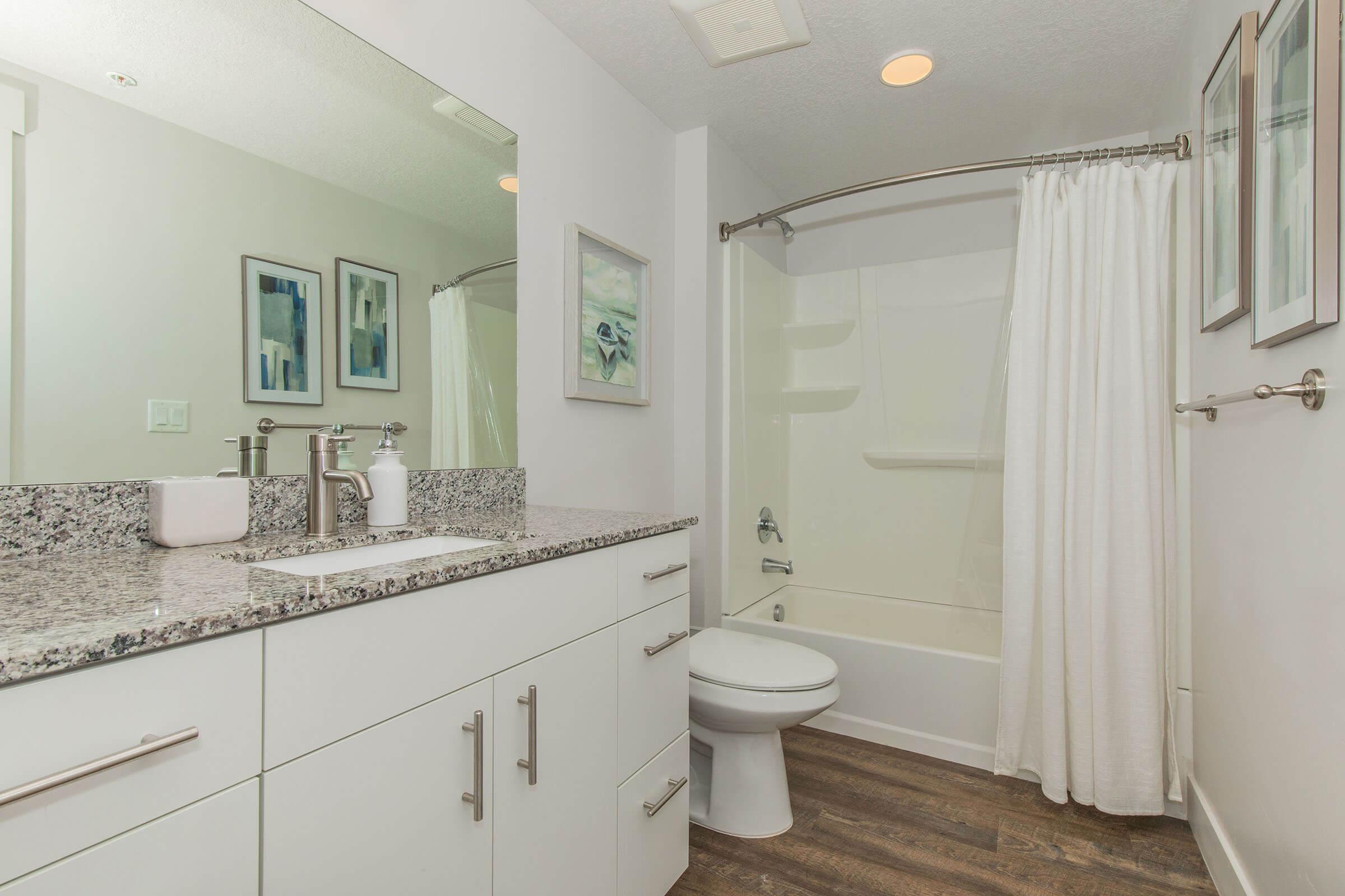 A modern bathroom featuring a white vanity with a granite countertop, a sink with a soap dispenser, and a large mirror above. The space includes a bathtub with a shower curtain, a toilet, and framed artwork on the walls. The flooring is wood-like, adding a warm touch to the contemporary design.