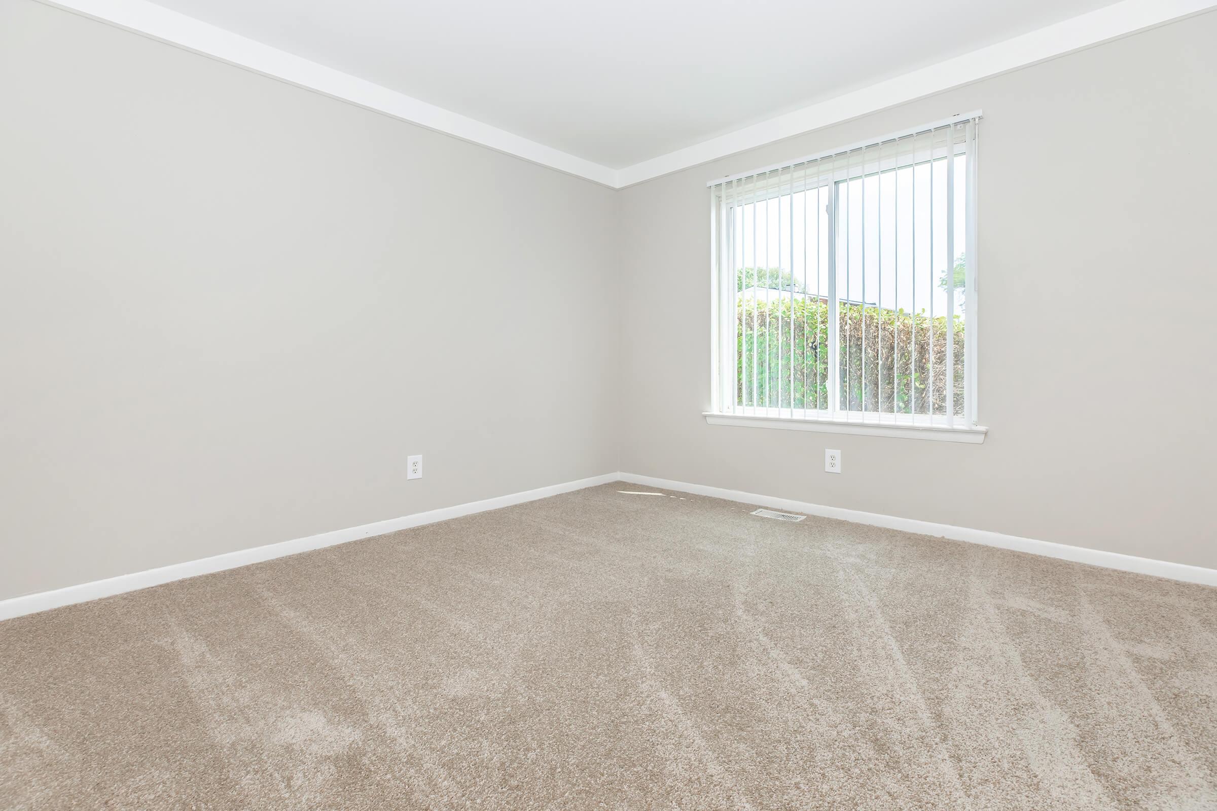 Empty room with light gray walls and beige carpet. A window with vertical blinds lets in natural light, showing greenery outside. The space feels airy and open, with no furniture or decorations present.