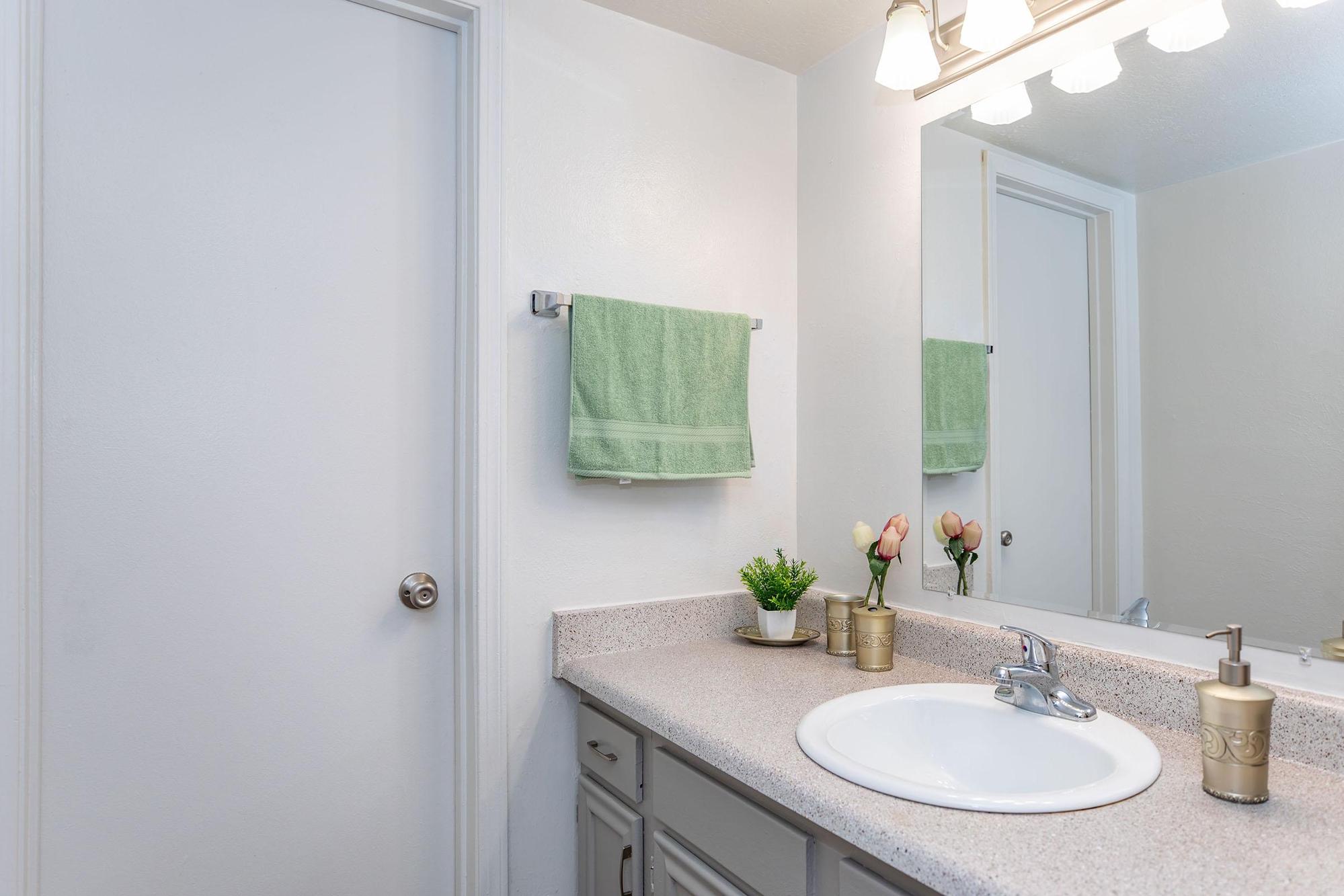 a sink and a mirror