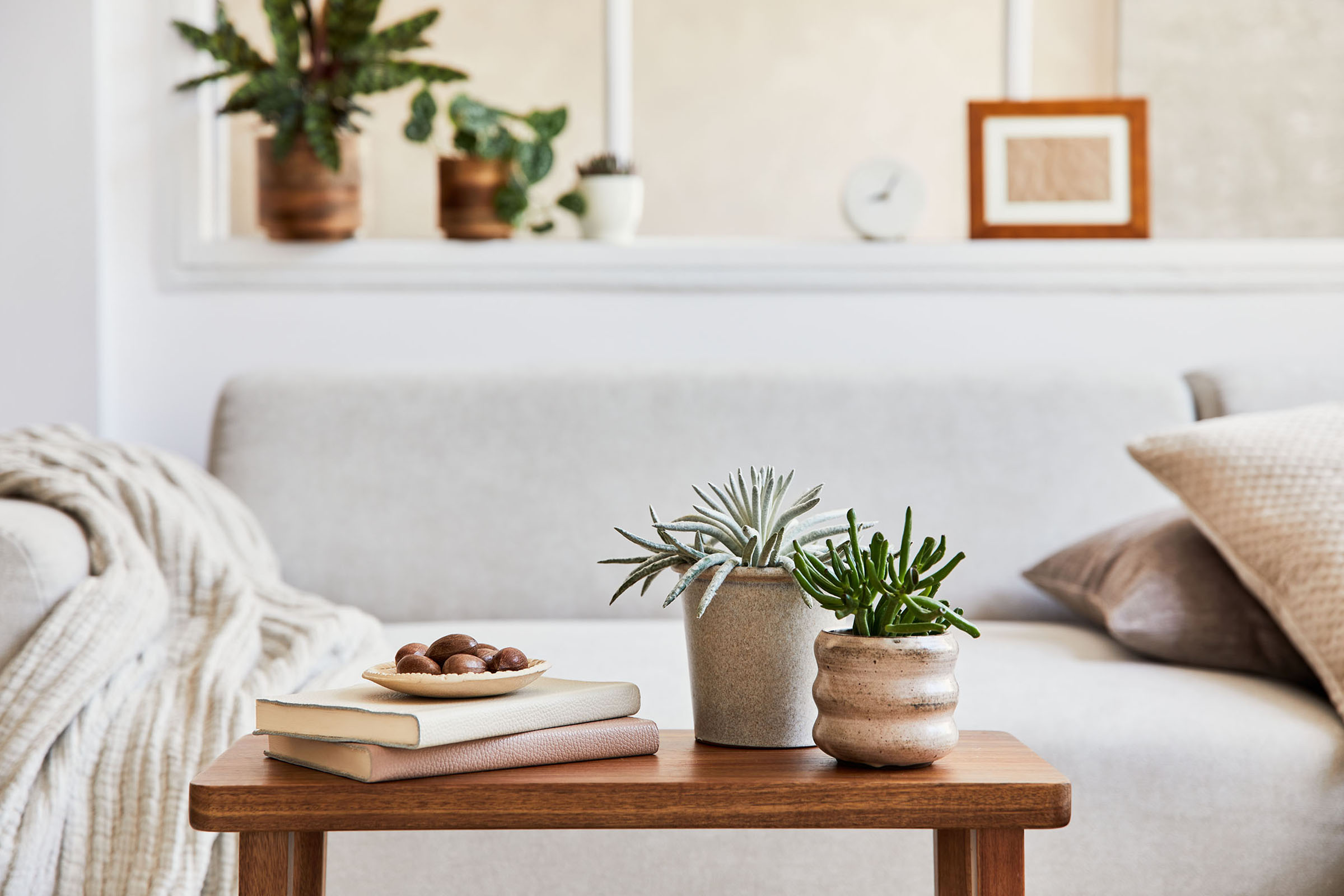 Apartment Features