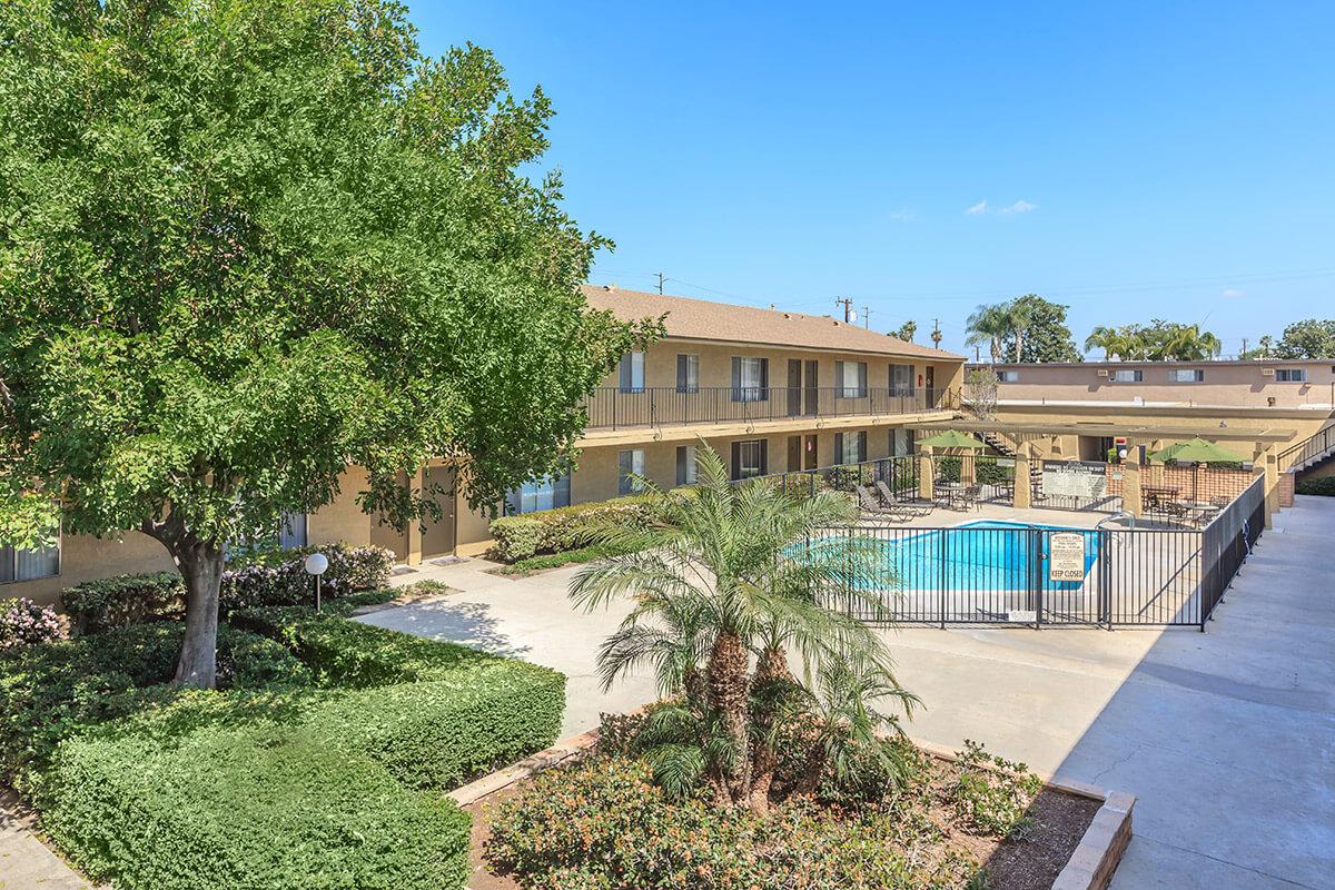 View of a residential area featuring a swimming pool surrounded by a gated fence. The pool is framed by palm trees and well-maintained landscaping, with two-story buildings in the background. Clear blue skies enhance the inviting atmosphere of the space.