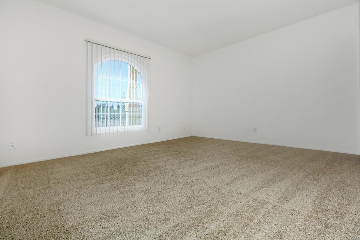 Empty room with beige carpet, white walls, and a large arched window with vertical blinds letting in natural light. The room is spacious and unadorned, creating a bright and airy atmosphere.
