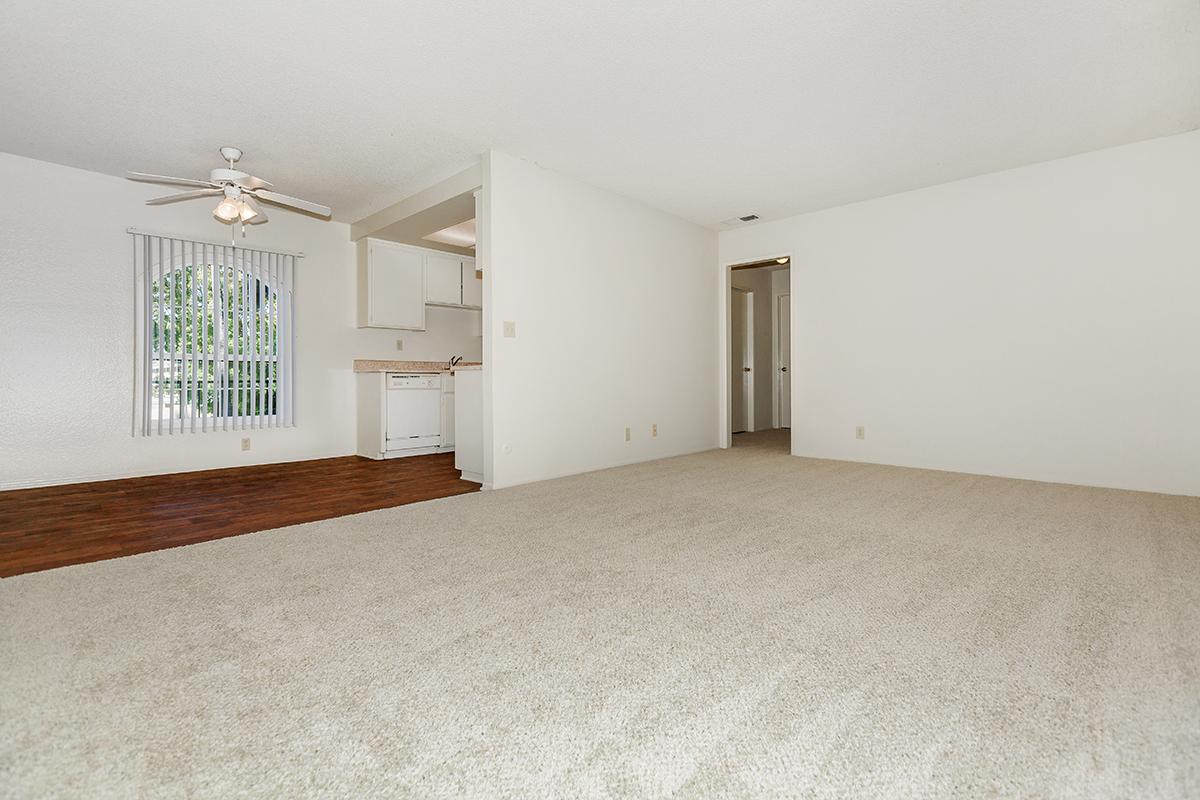 Spacious, empty living room with light beige carpet and a ceiling fan. A partial view of the kitchen is visible in the background, featuring a white color scheme. Sunlight streams in through a window with vertical blinds, enhancing the bright and airy atmosphere of the space.