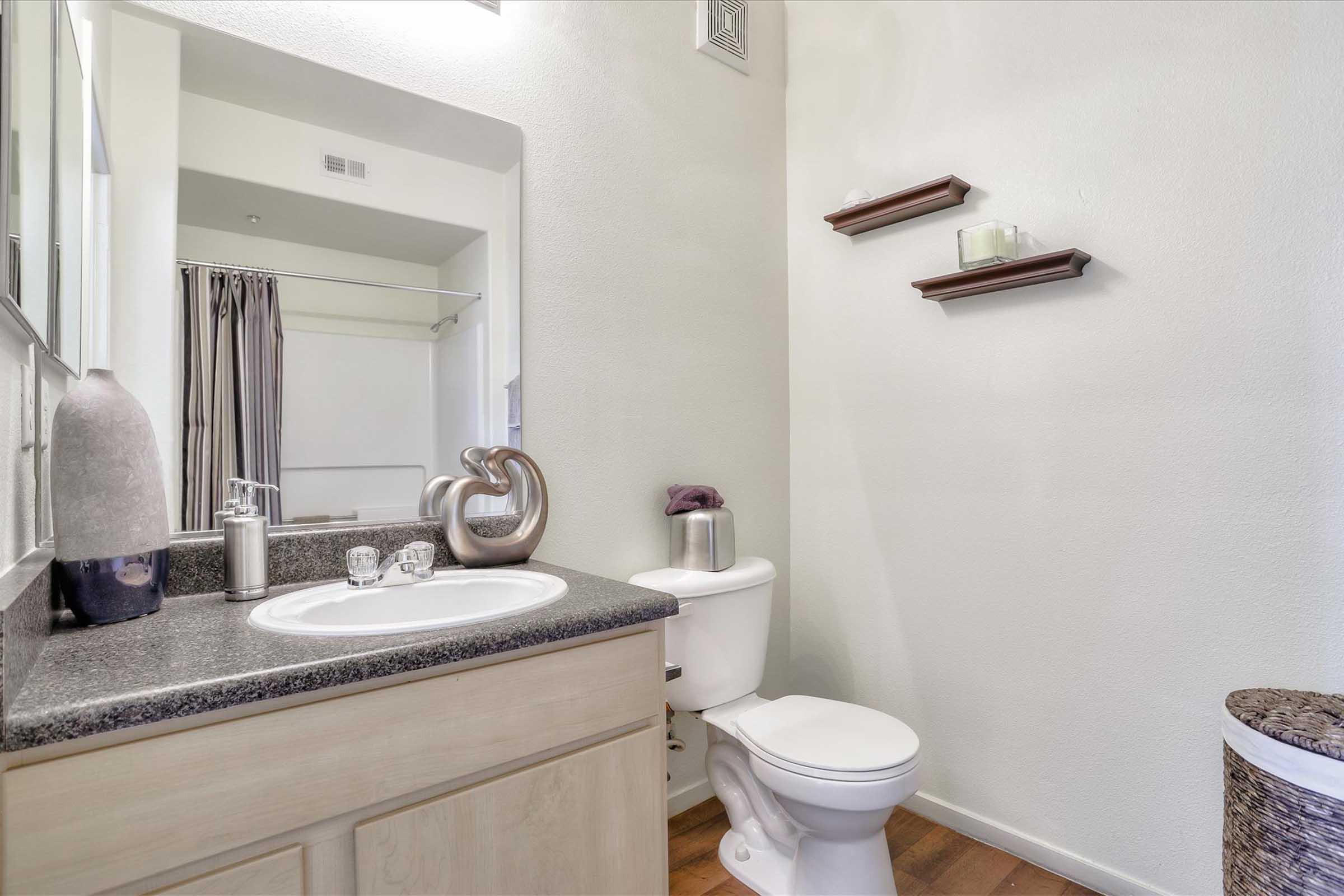 A modern bathroom featuring a sink with a dark countertop, a toilet, and a mirrored cabinet above the sink. Two decorative shelves are mounted on the wall with small decor items. There is a shower curtain in the background, and the flooring is a light wood finish.