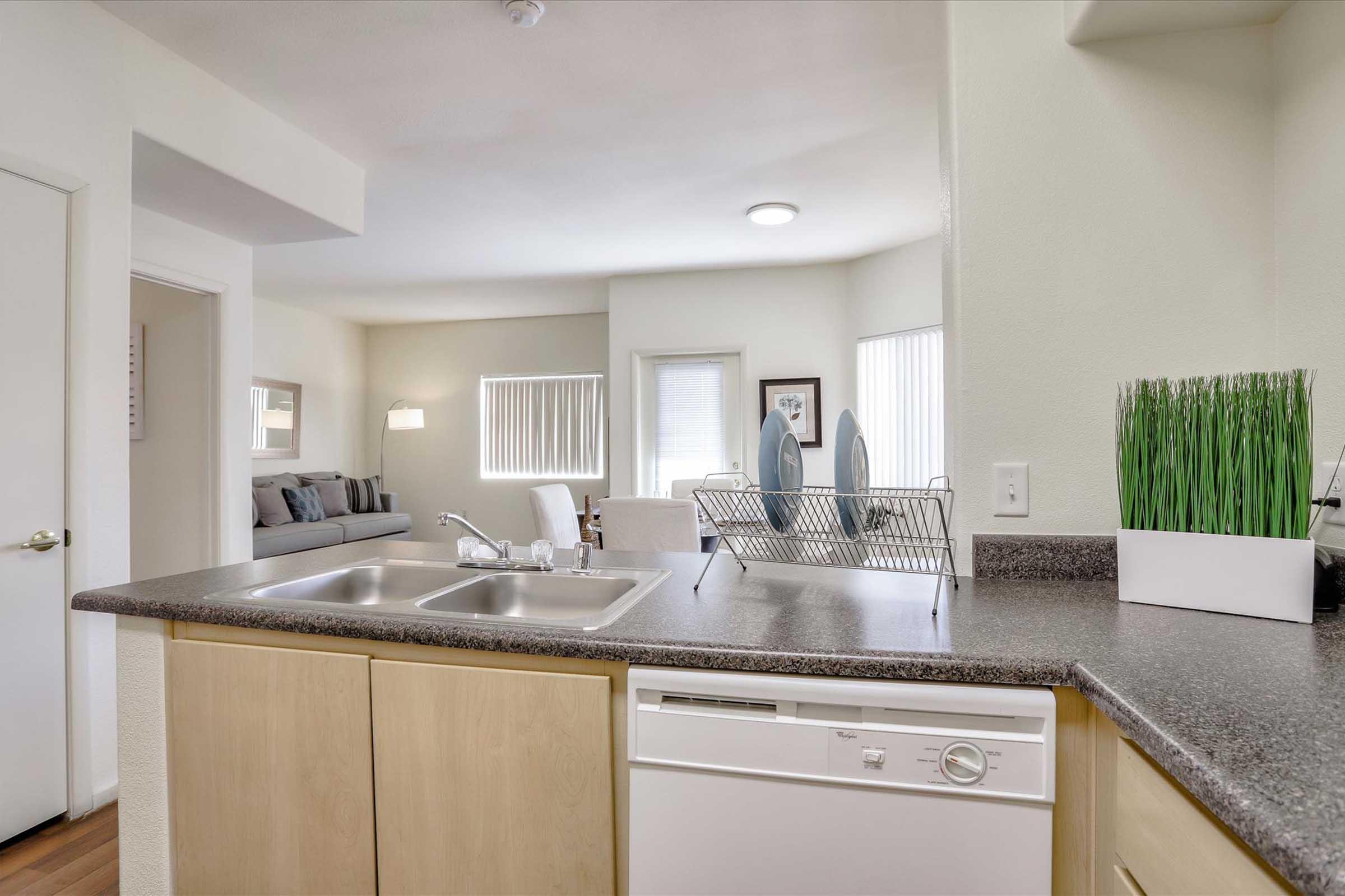 A modern kitchen featuring a double sink, a dishwasher, and a countertop with a dish rack. In the background, a living area is visible, with a sofa, a lamp, and large windows allowing natural light. There are also decorative plants on the countertop, adding a touch of greenery to the space.