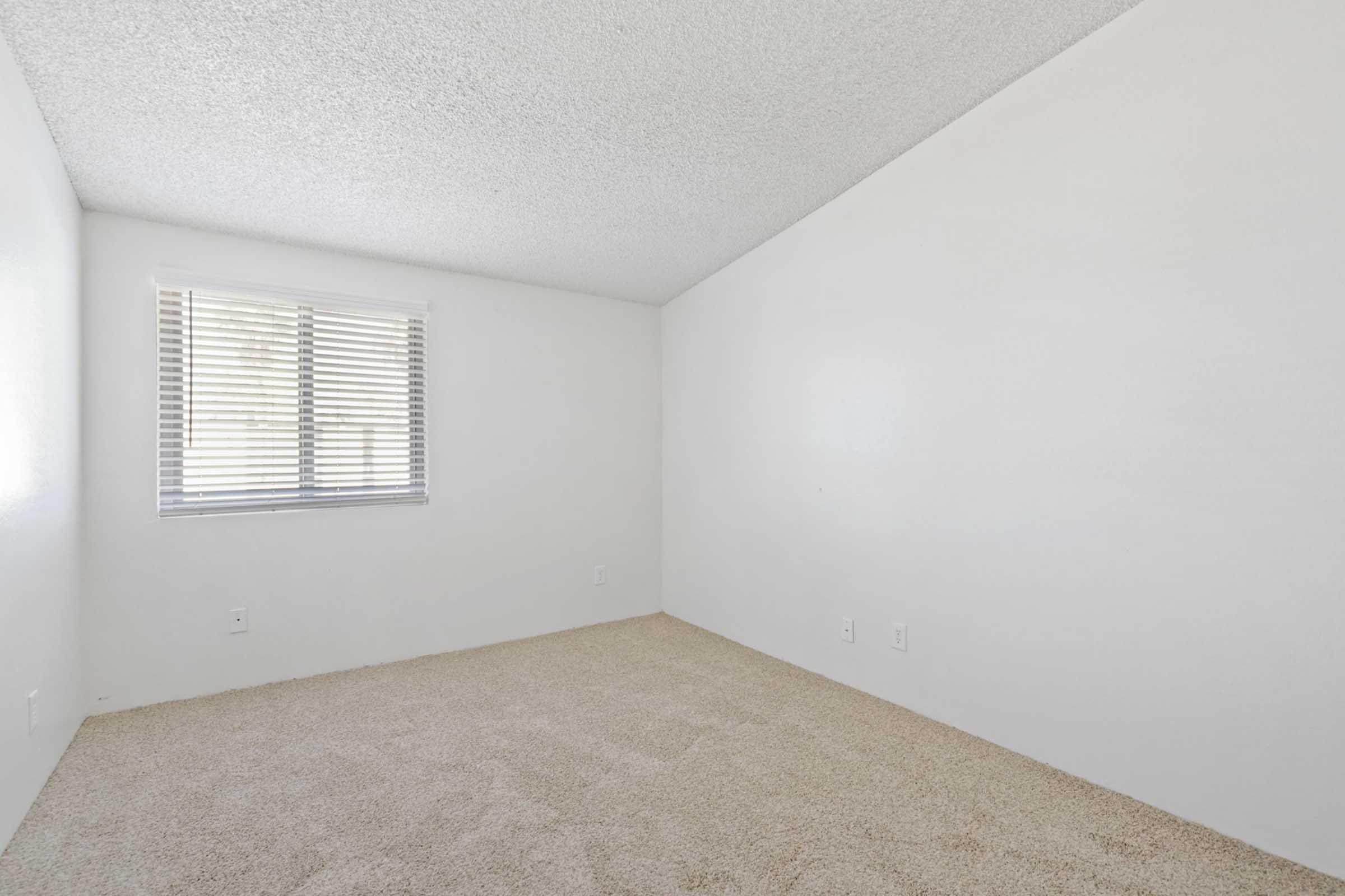 Empty room with light-colored carpet and plain white walls. A window with horizontal blinds is present on one side, allowing natural light to enter. The space is minimalistic, with no furniture or decorations. The overall atmosphere is bright and clean, ideal for personal customization.