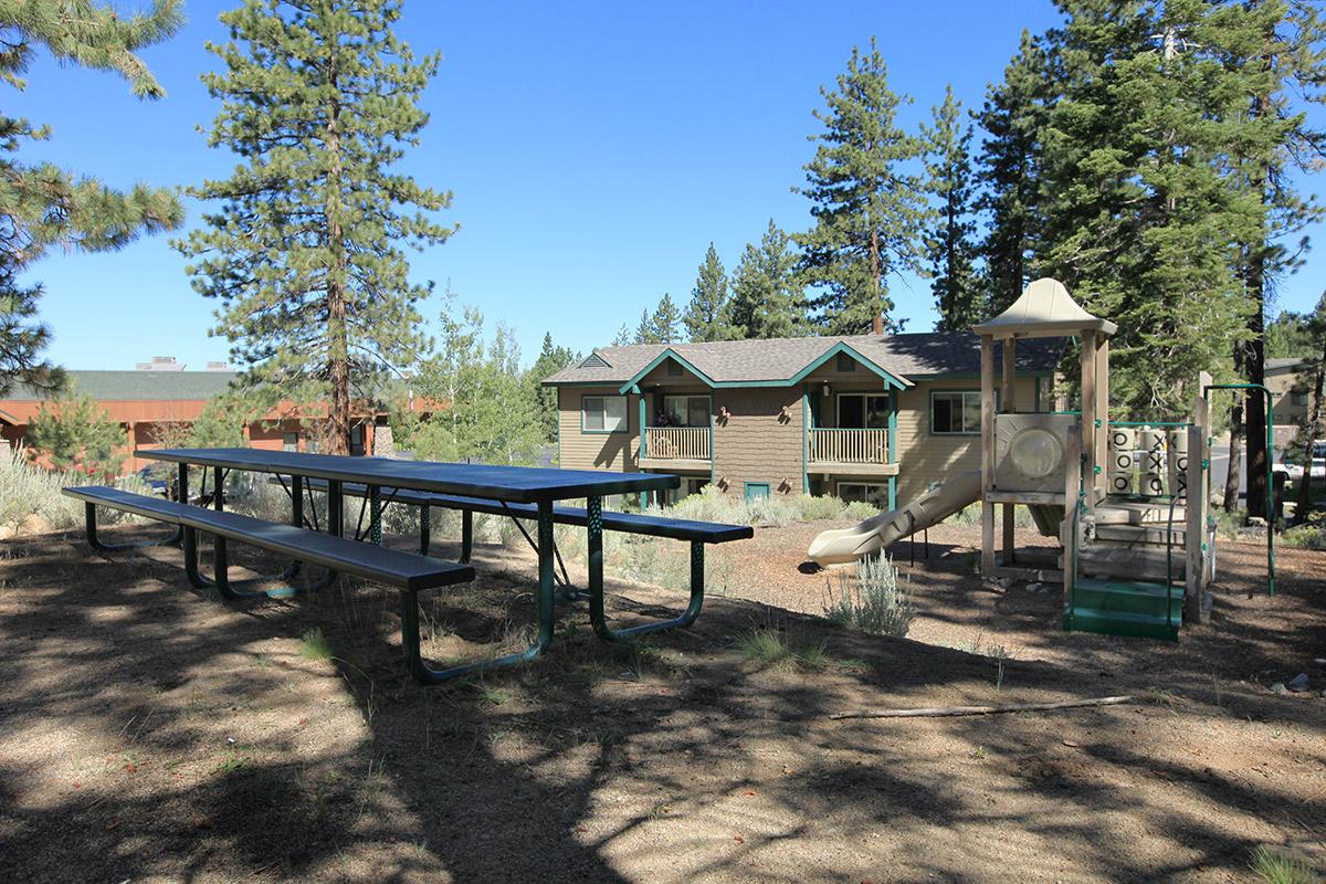 Picnic area next to playground