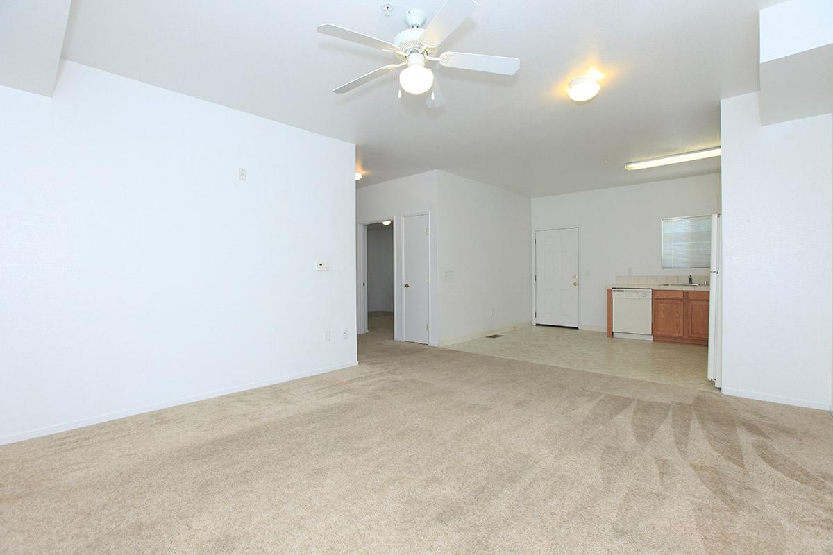 Living room and open kitchen flooring