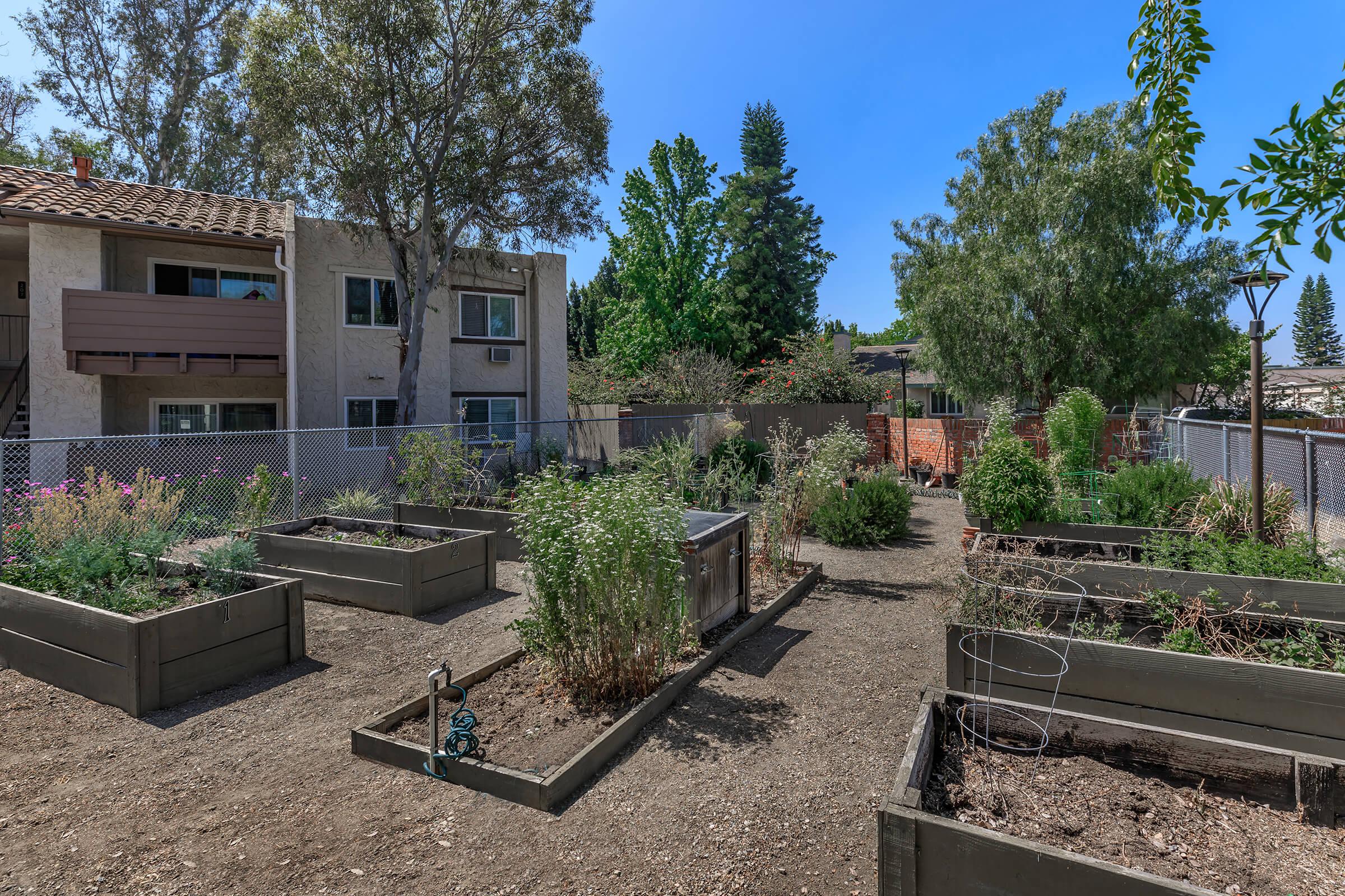 COMMUNITY GARDEN