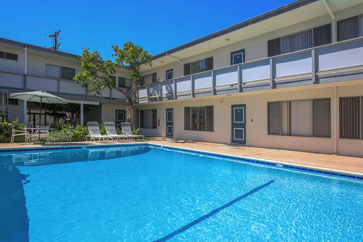 Ocean West Apartments community pool with green tree