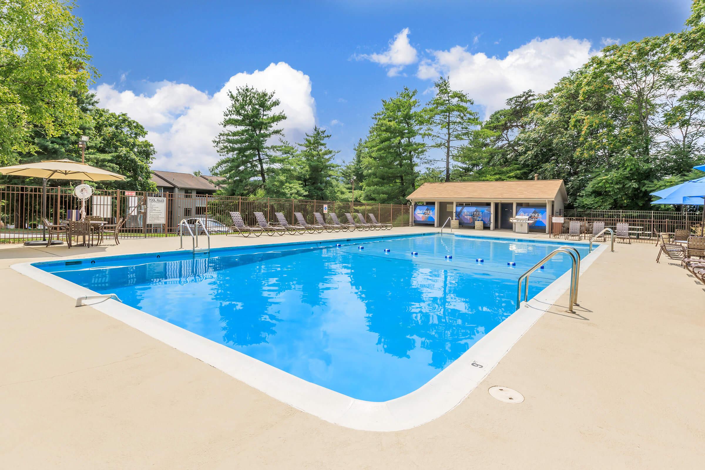 The Pines of Roanoke Apartment Living in Roanoke, VA