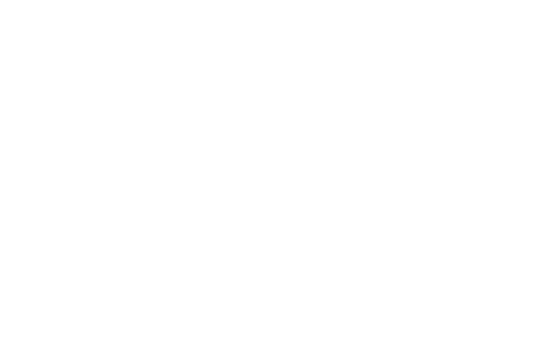 The Brazos Apartments ebrochure logo