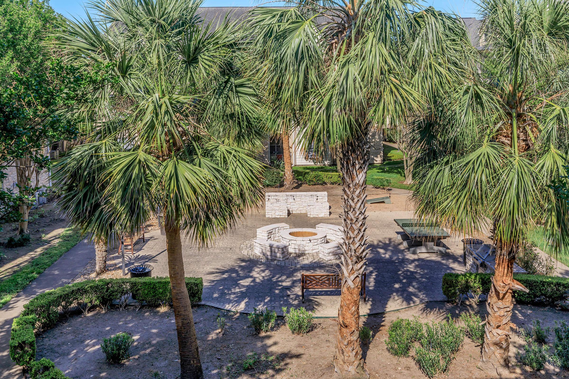 A landscaped outdoor area featuring several tall palm trees, a stone fire pit surrounded by benches, and picnic tables on a paved surface. The scene is set in a park-like environment with greenery and shrubs, providing a serene space for relaxation and socializing.