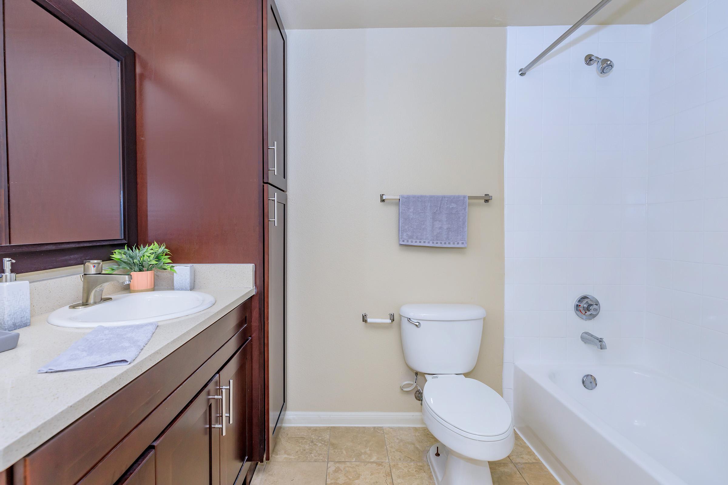 A clean and modern bathroom featuring a white bathtub with a shower, a toilet, and a dark wood vanity with a sink. The vanity is accessorized with a small plant and a gray towel hanging from a rack. The walls are light-colored, complementing the tile floor.